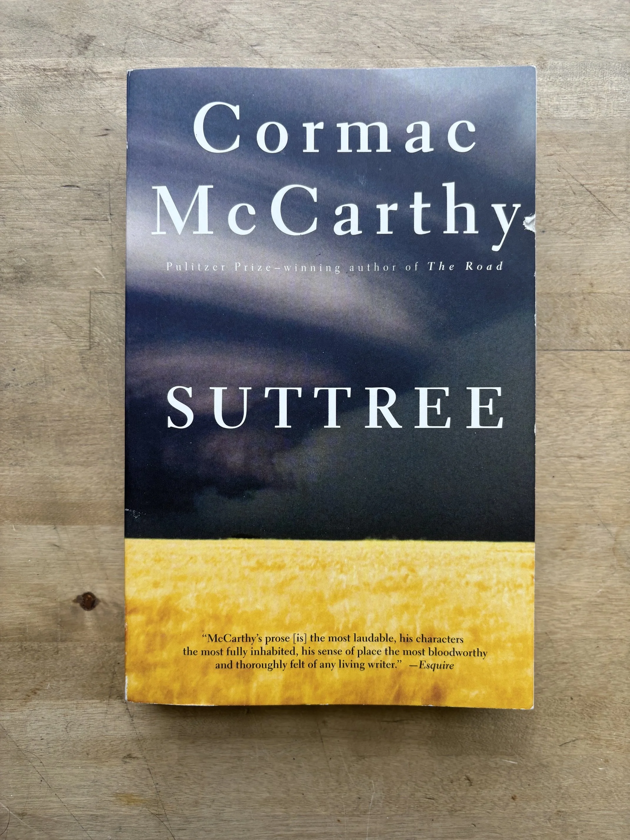 Suttree by Cormac McCarthy