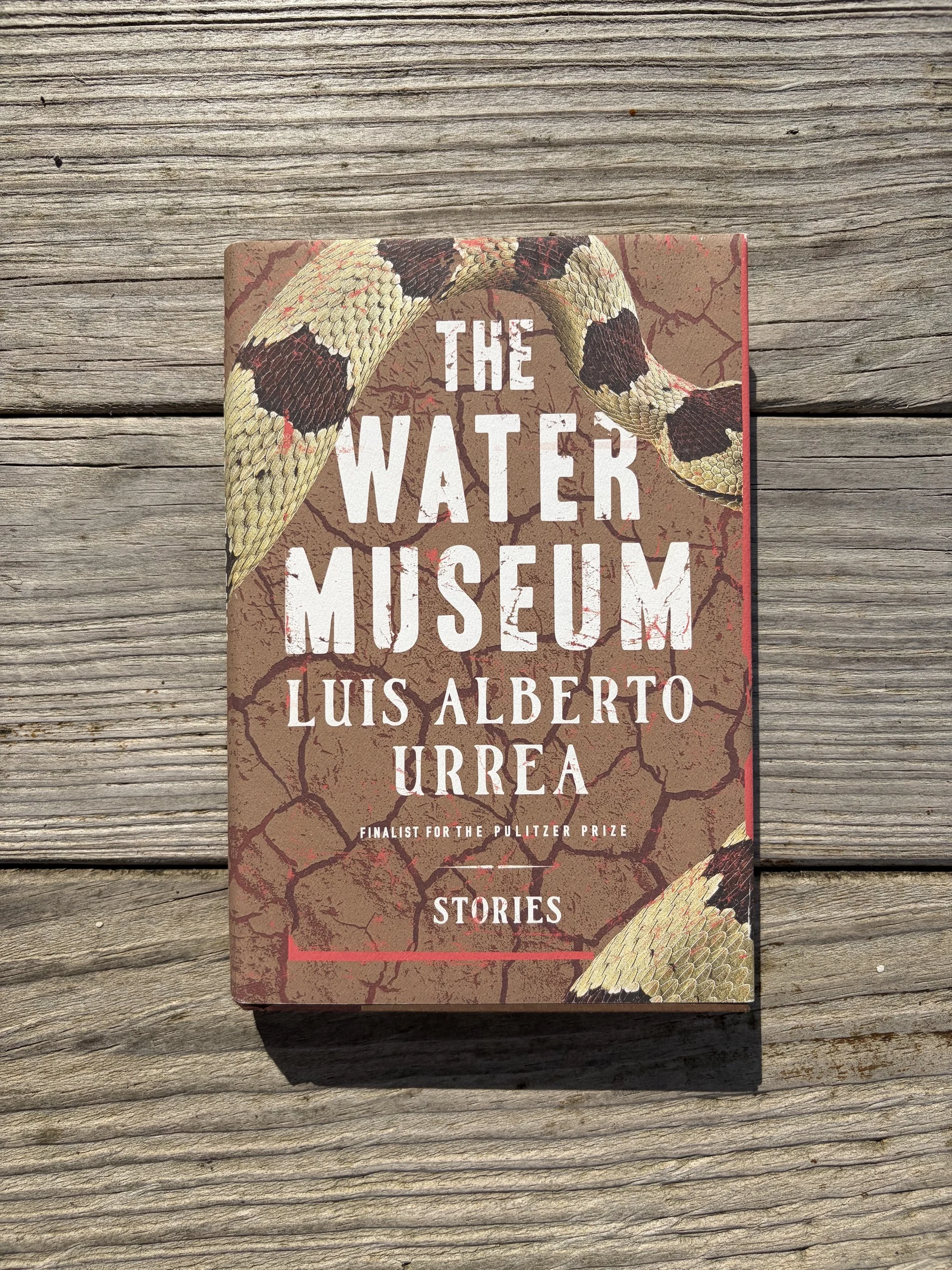 The Water Museum by Luis Alberto Urrea