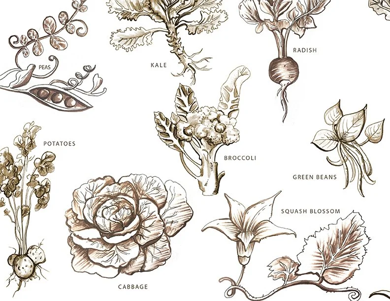 End Papers for Mr. Gibsons Garden-1_small.jpg