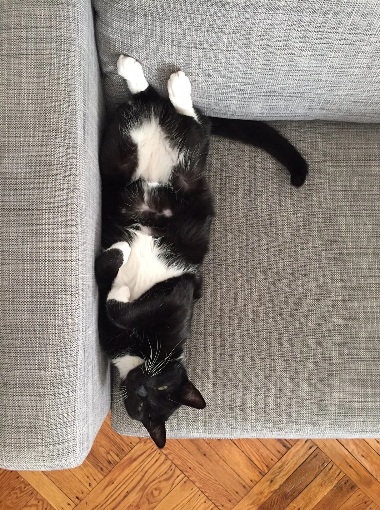 TBT Walt 2015 (relaxing)/Kevin 2020 (house painting)