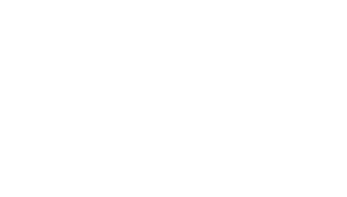 14. LHW VITA logo_white 23072025.pdf.png