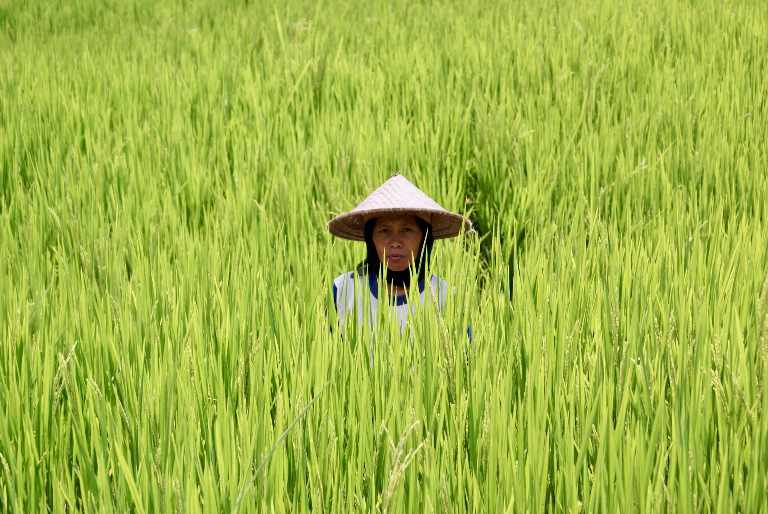 amanjiwo 25th anniversary 326.jpeg