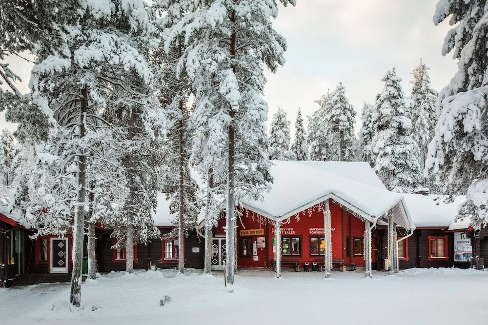 This Years Milestones 010.jpeg