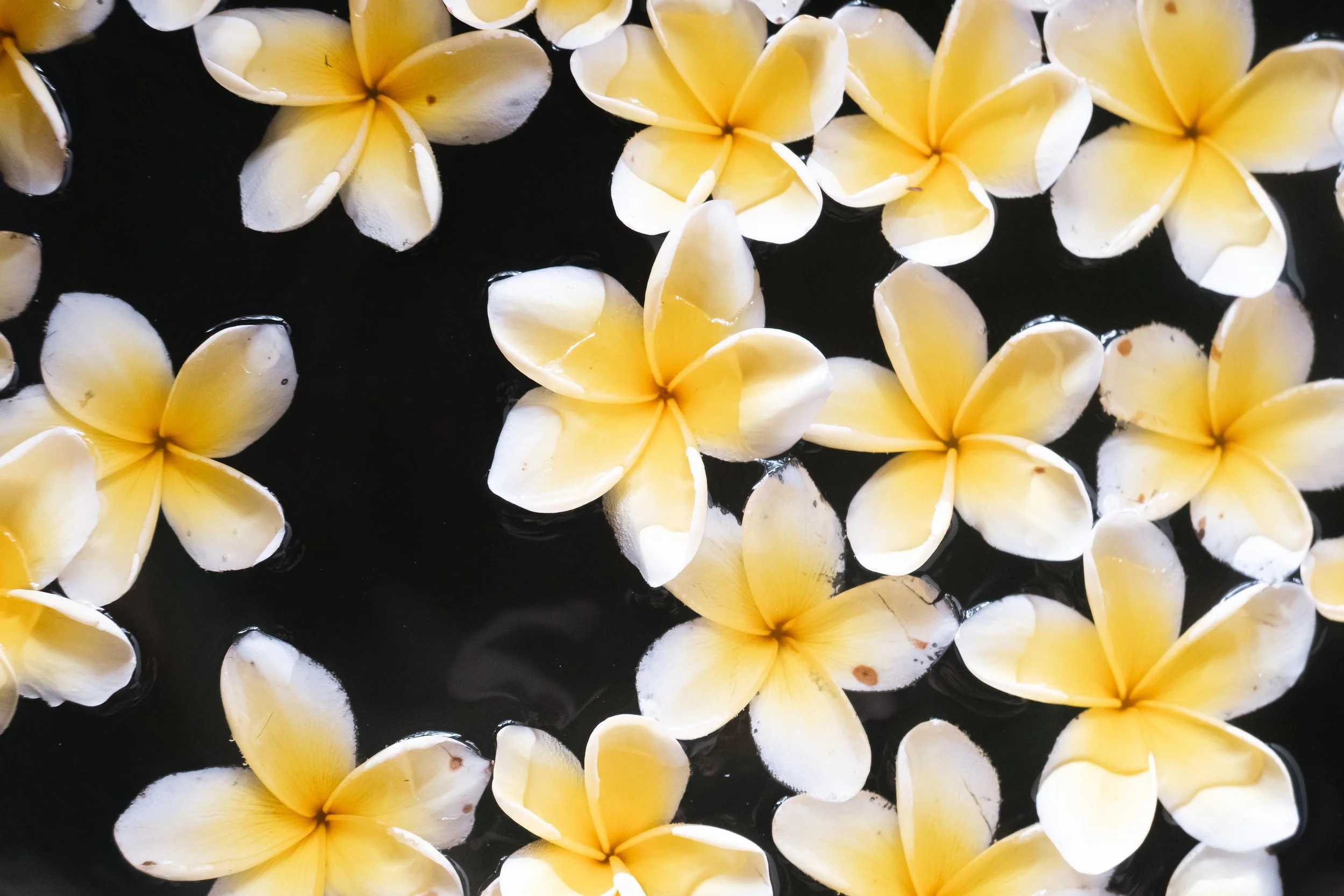 2025 Retreat Blog Banner 007.jpg