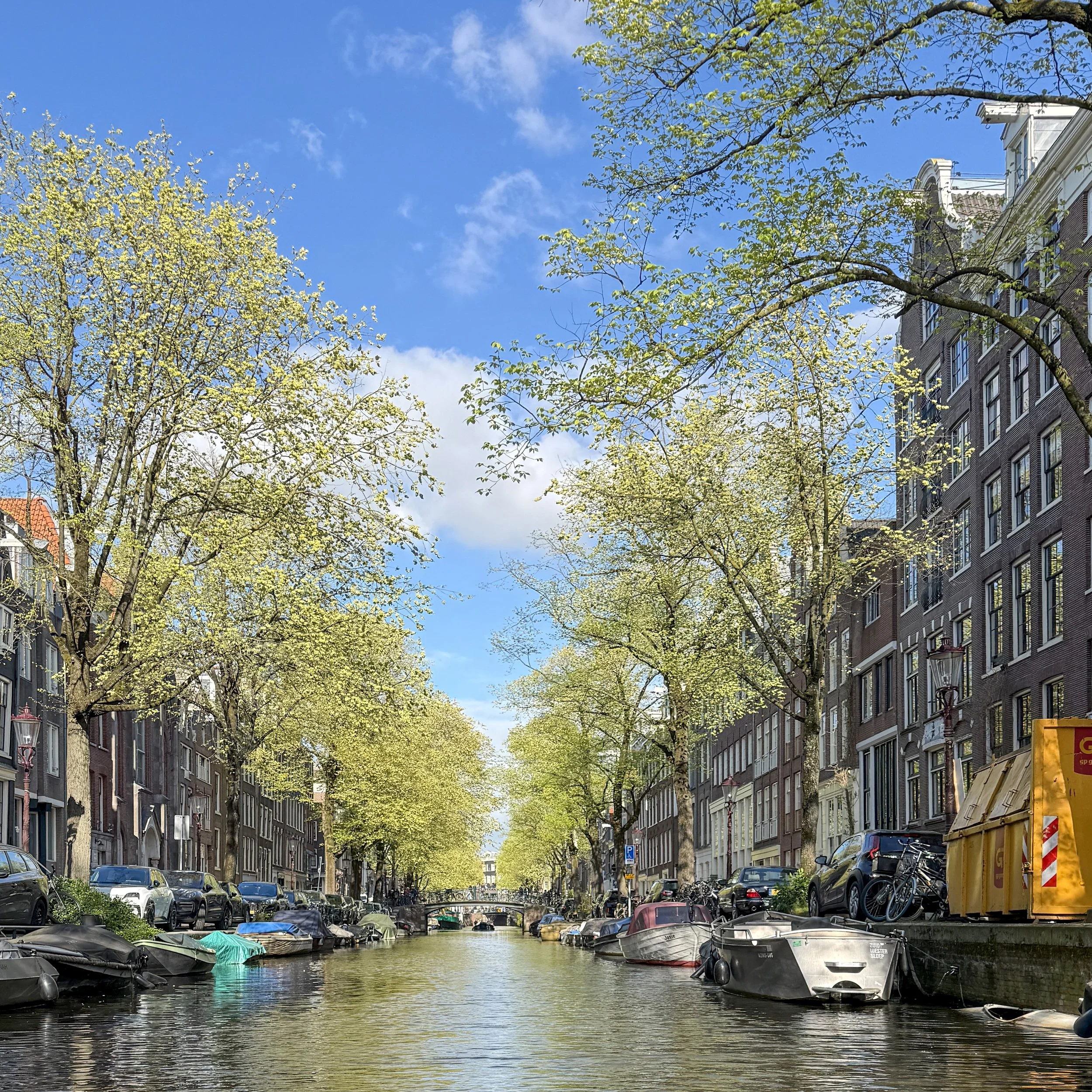 Dana Amsterdam 003.jpg