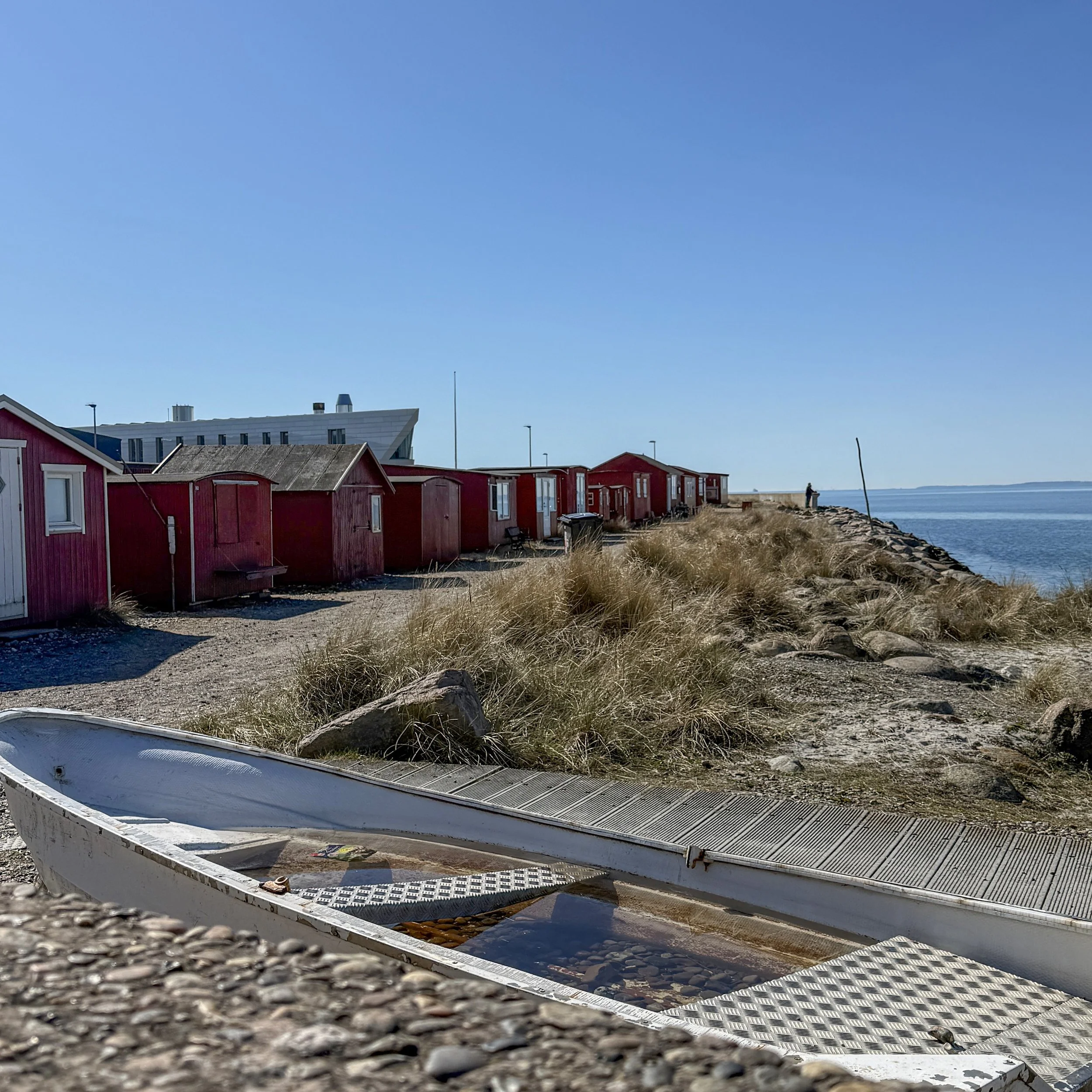 Dana Skagen 005.jpg