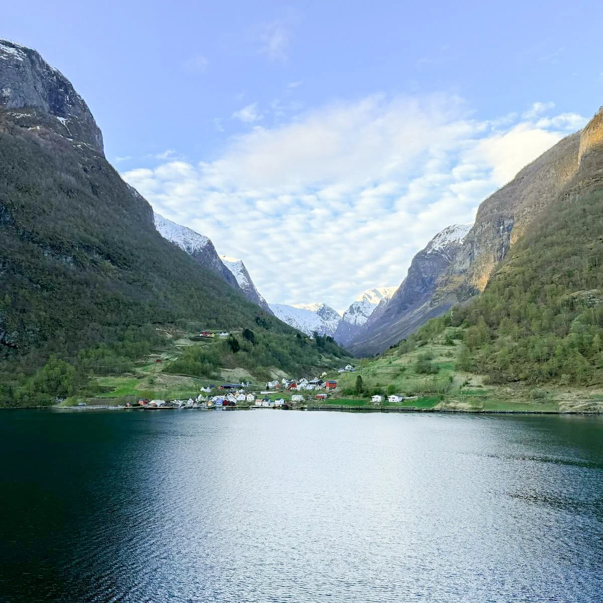 Dana Flam 003.JPG