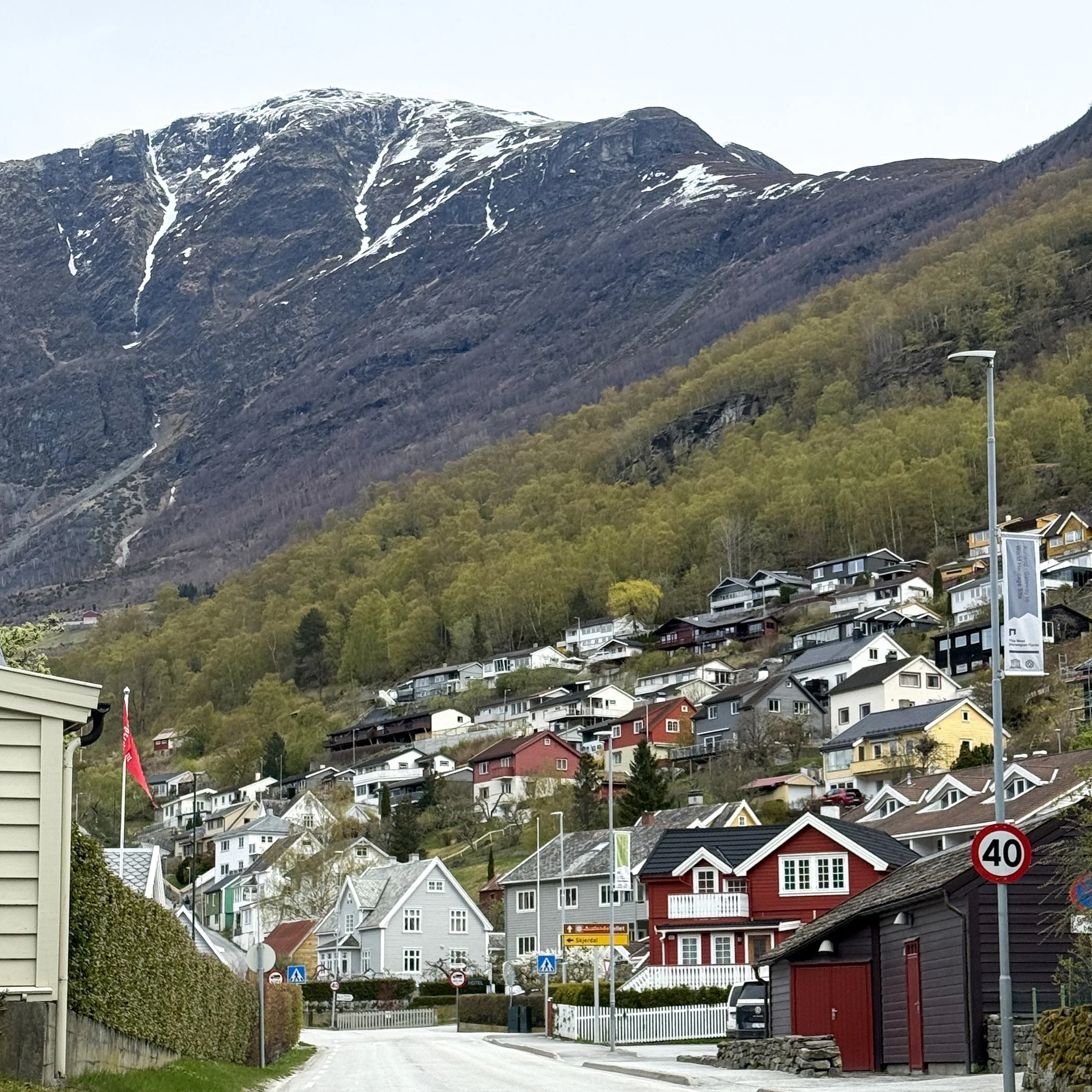 Dana Flam 009.jpg
