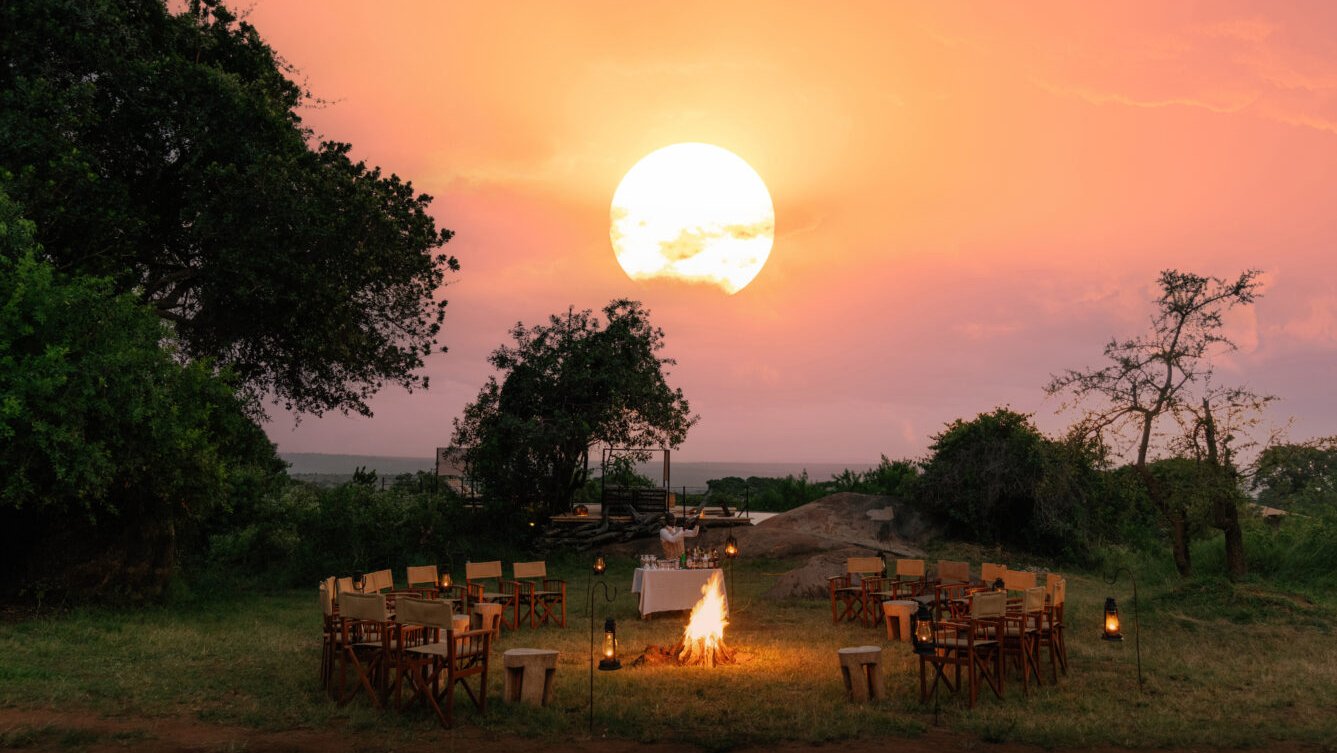 Serengeti Bushtops003.jpg