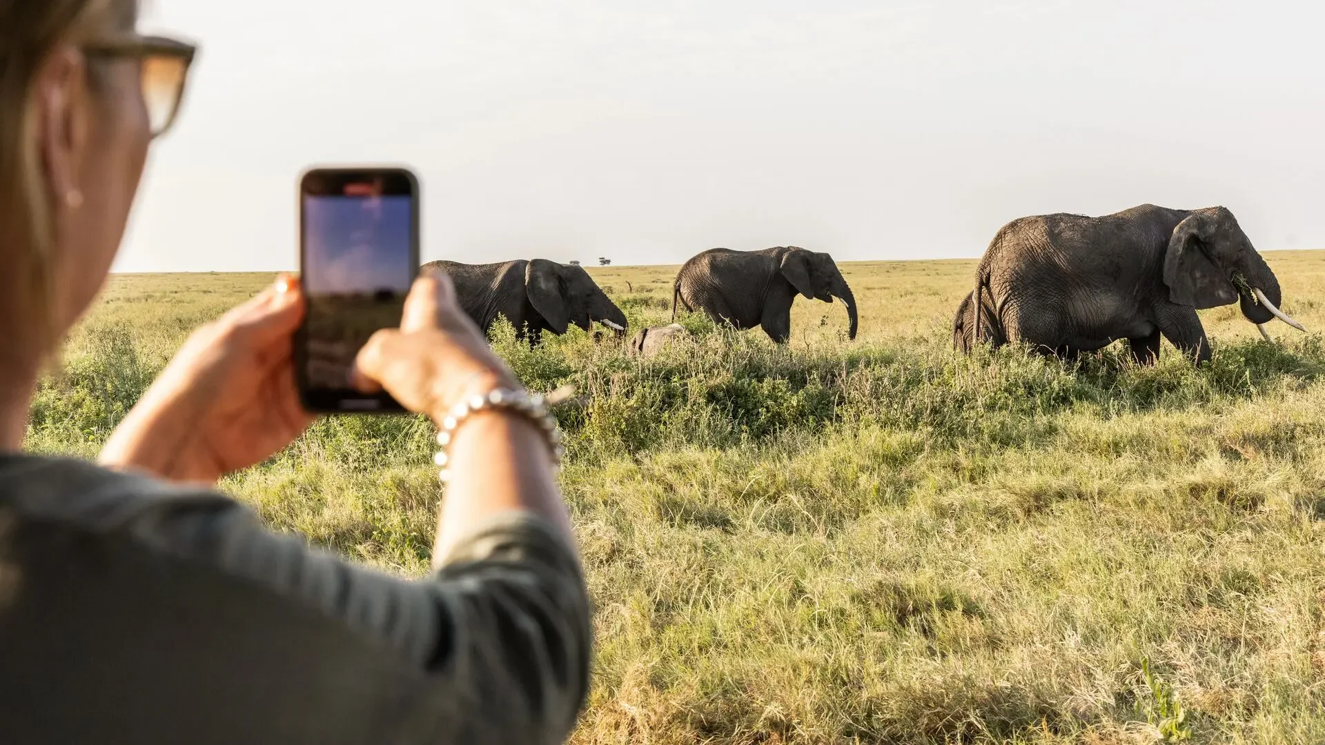 Namiri Plains 007.webp