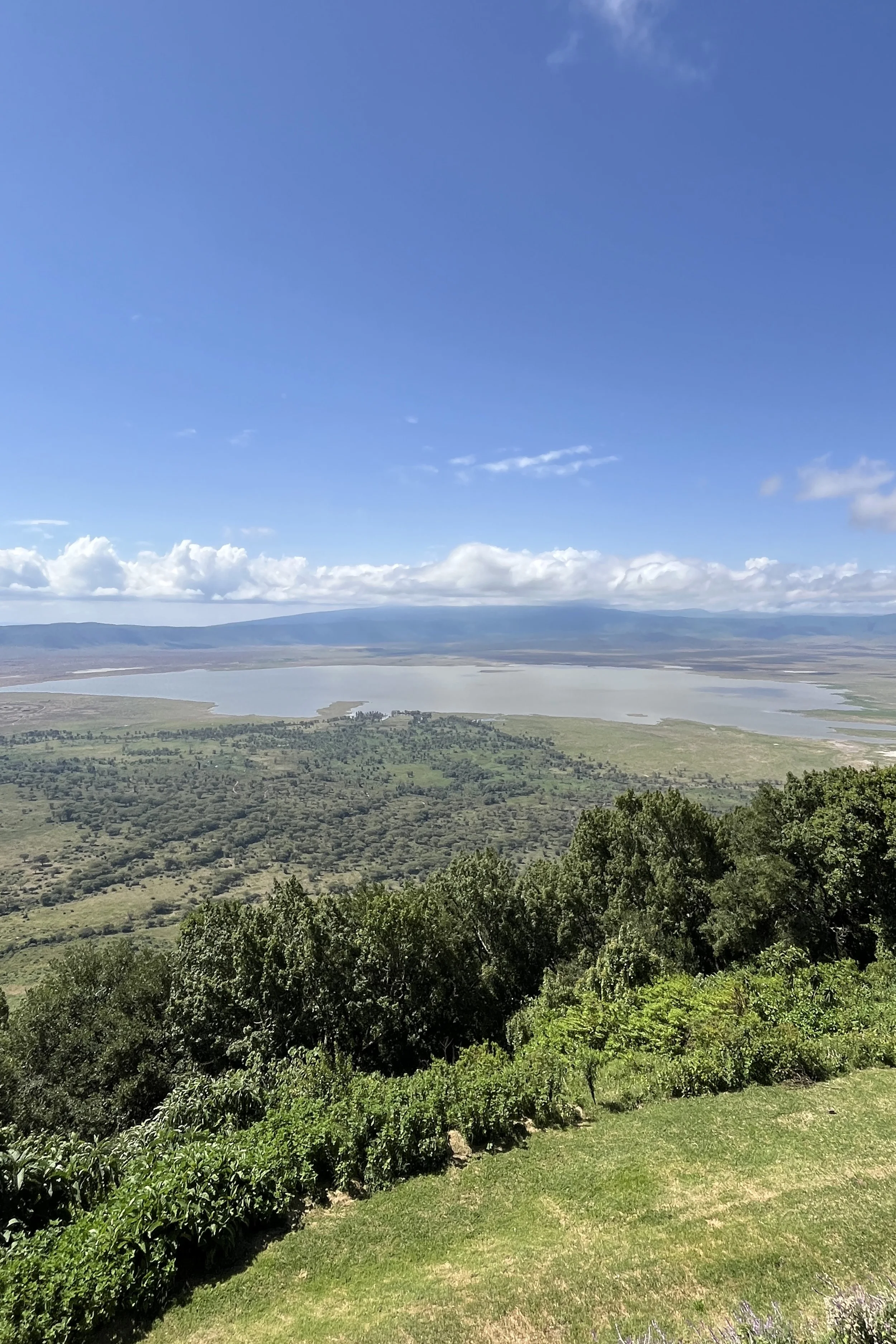Sally Lemala Ngorogoro 002.JPG