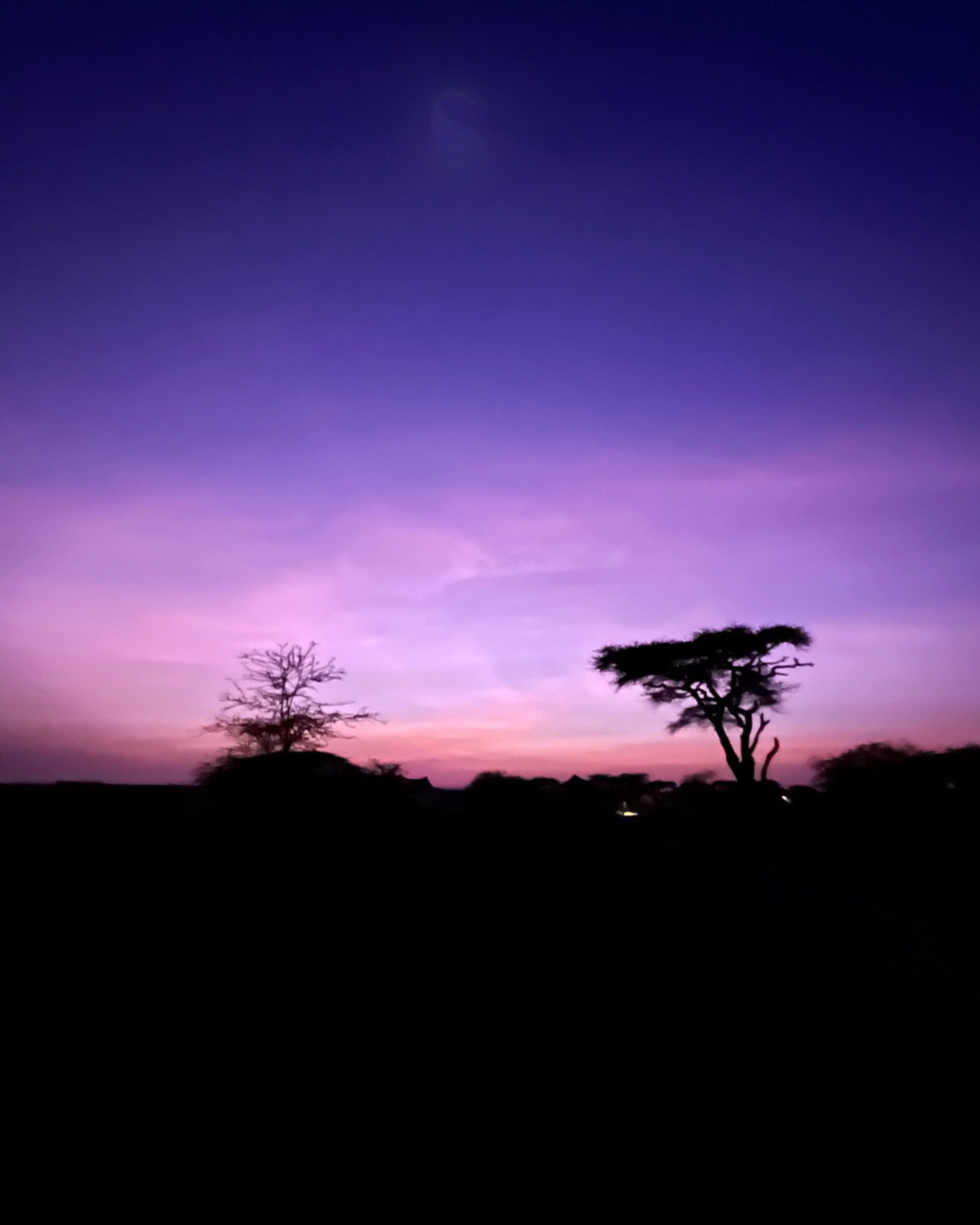 Sally Namiri East Serengeti 016.JPG