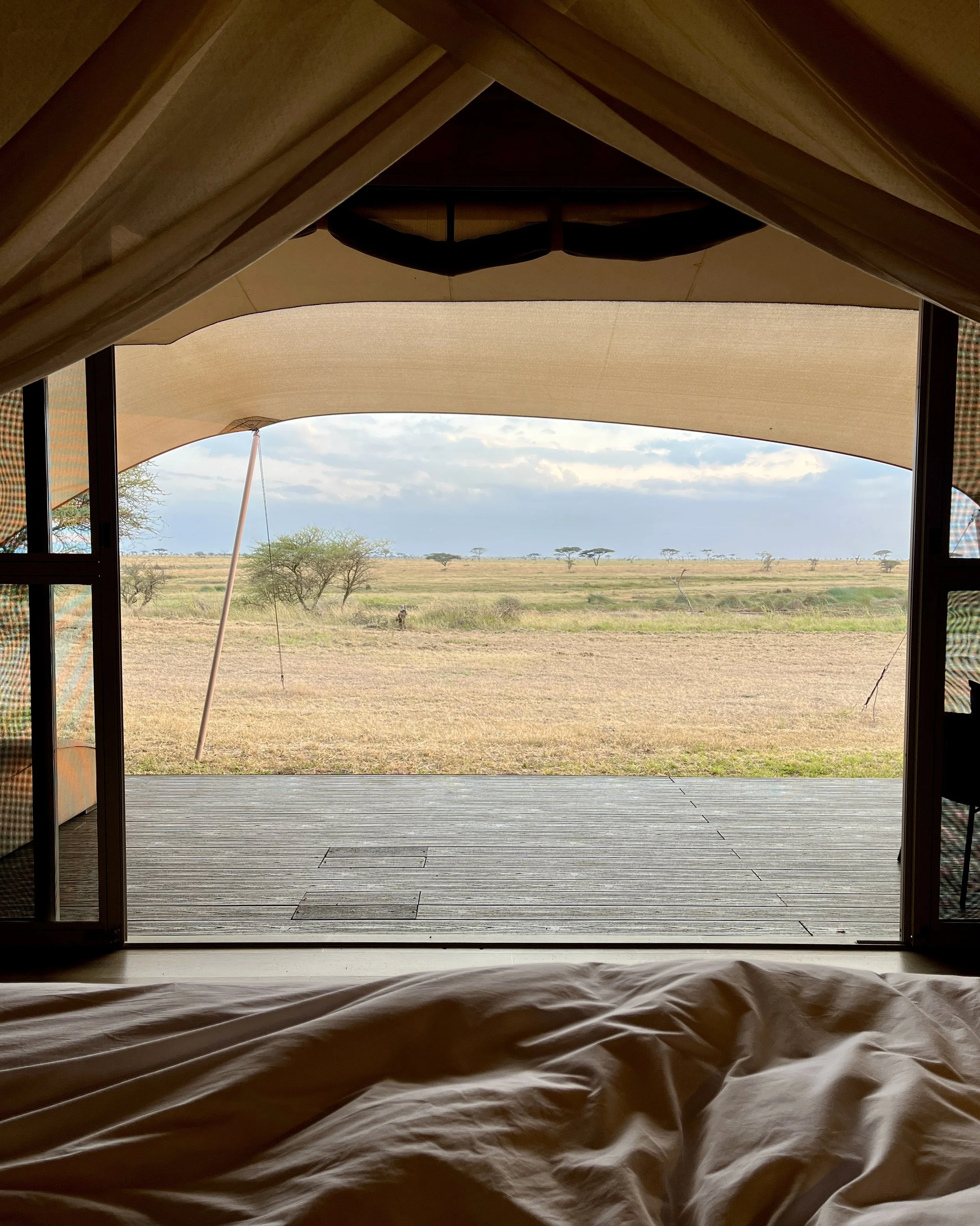 Sally Namiri East Serengeti 031.JPG