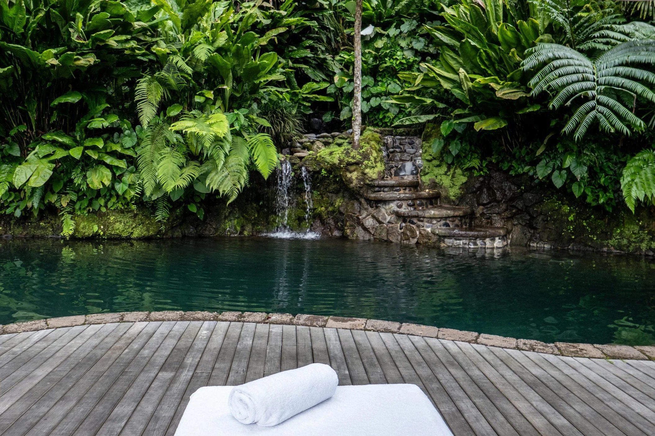 Finding Balance: Yin, Yang &amp; Wellbeing the Shambhala Way