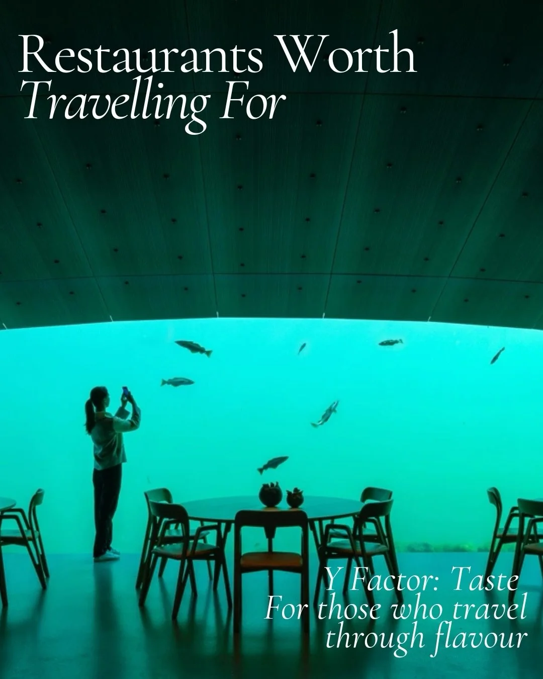 Some tables are worth the detour. Others are worth the journey itself.

From the innovative kitchens of Lima and Slovenia to dining beneath the Arctic waters of Norway, with an extraordinary collection of Michelin stars, industry accolades and intern