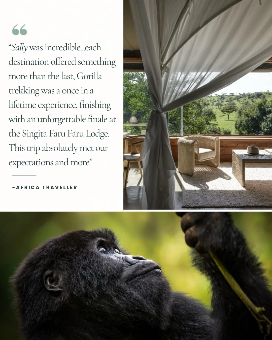 A private safari across Tanzania and Uganda. A beautifully considered escape to the Scottish Highlands. Two very different journeys, shaped by the same thoughtful approach: knowing our clients, understanding what matters to them, and creating experie