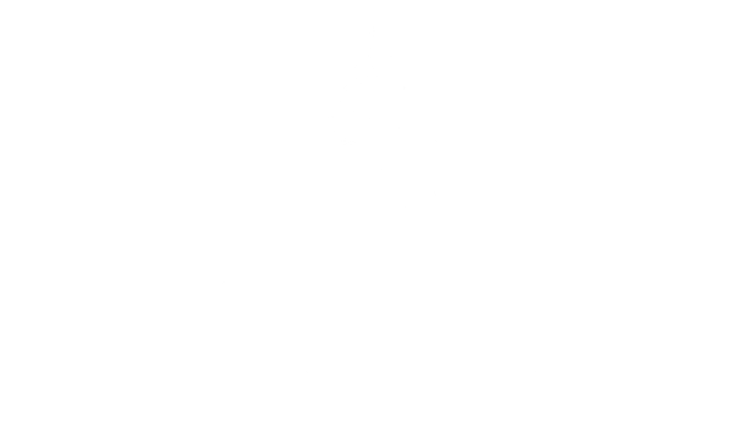 9. FS Preferred_Partner_White_BOX -White.png