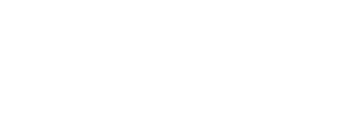 18. Melia - MPRO_BRAVOS_BOLD_White_logo_rgb 20032025.png