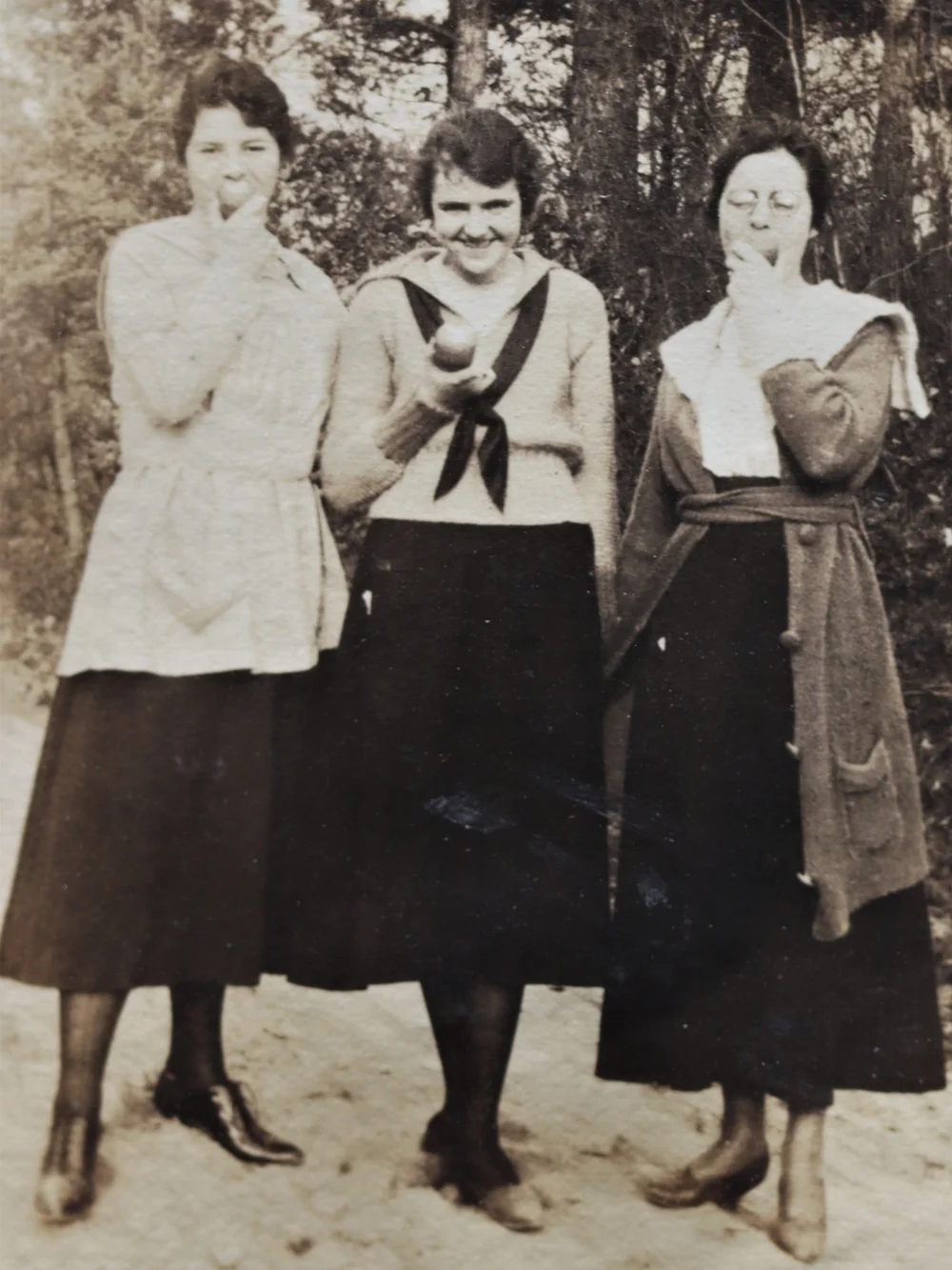 Apples 2 150 px h.JPG