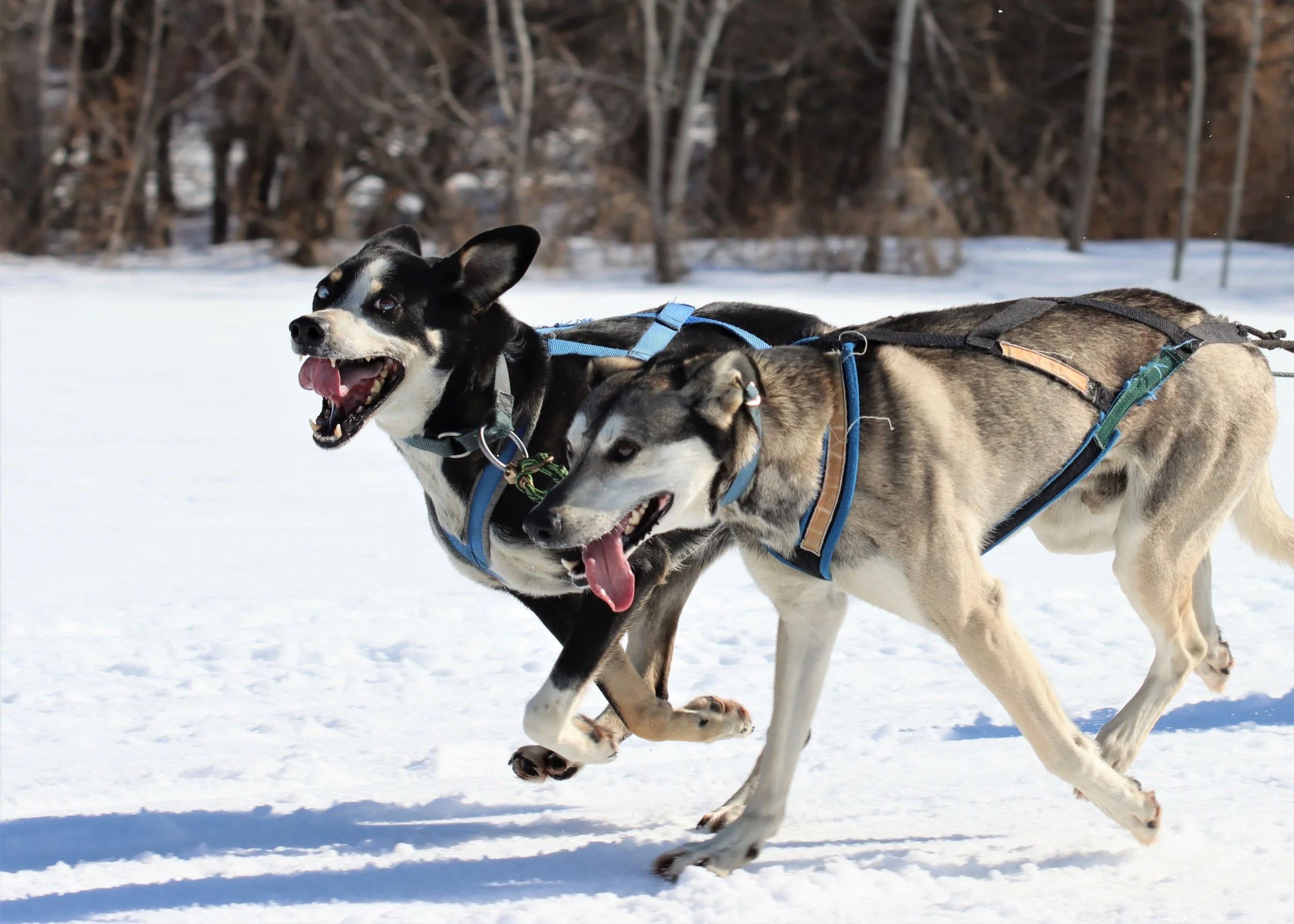 My Time Helping Santa