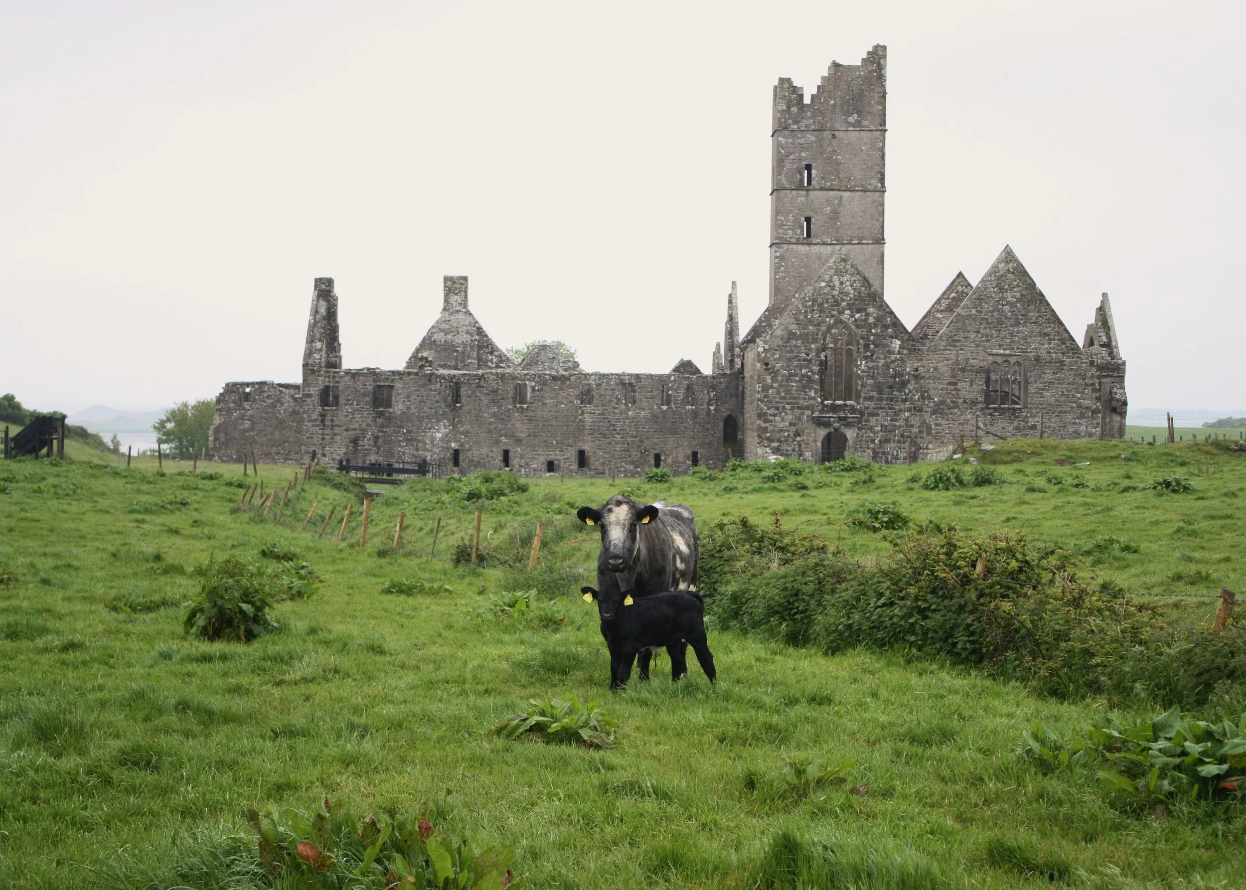 Their Place of Resurrection