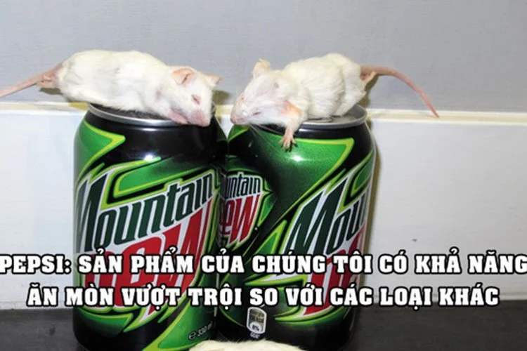 Bị kiện vì có chuột trong sản phẩm, Pepsi thắng ngoạn mục nhờ lý lẽ: ‘Không ai có thể nhìn thấy 1 con chuột nguyên vẹn, chỉ 4-7 ngày nó đã bị hòa tan hoàn toàn’