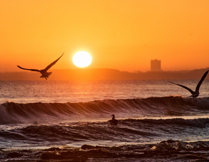 Đại dương thế giới lập kỷ lục đáng lo