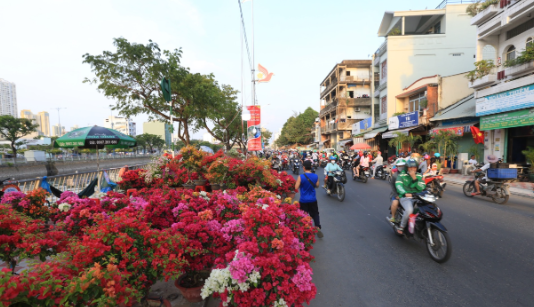 ĐẢNG LÀM “TAN NÁT” MỘT MÙA XUÂN!