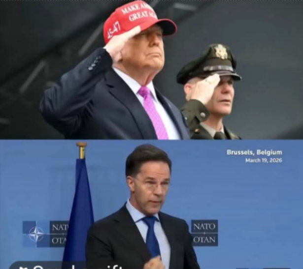 Và cuối cùng Tổng Thư Kỷ khối NATO cũng đã lên tiếng...