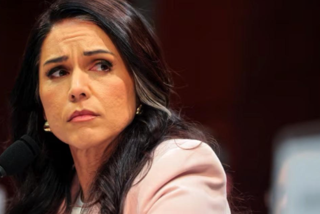 Giám đốc Tình báo Quốc gia Tulsi&nbsp;Gabbard từ chức