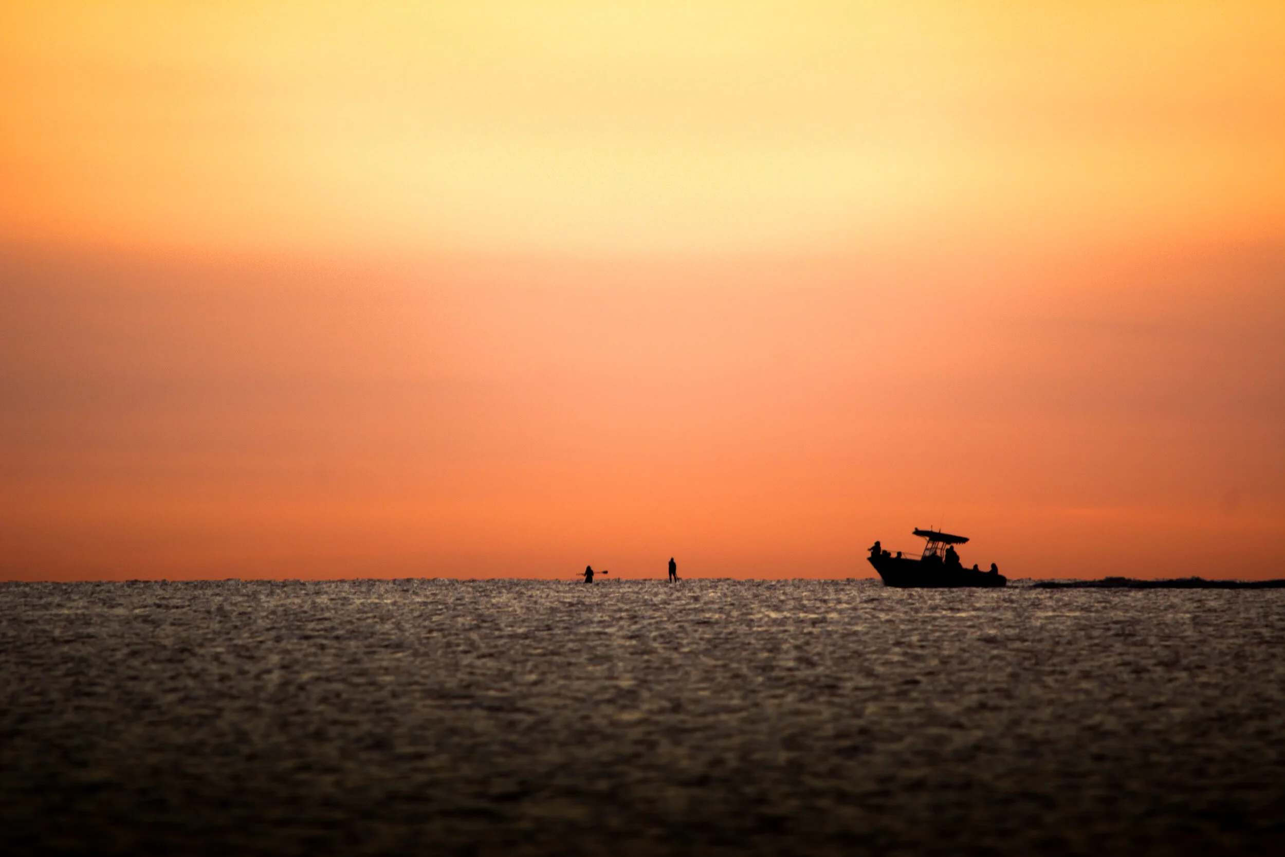 DSC_0679.jpg