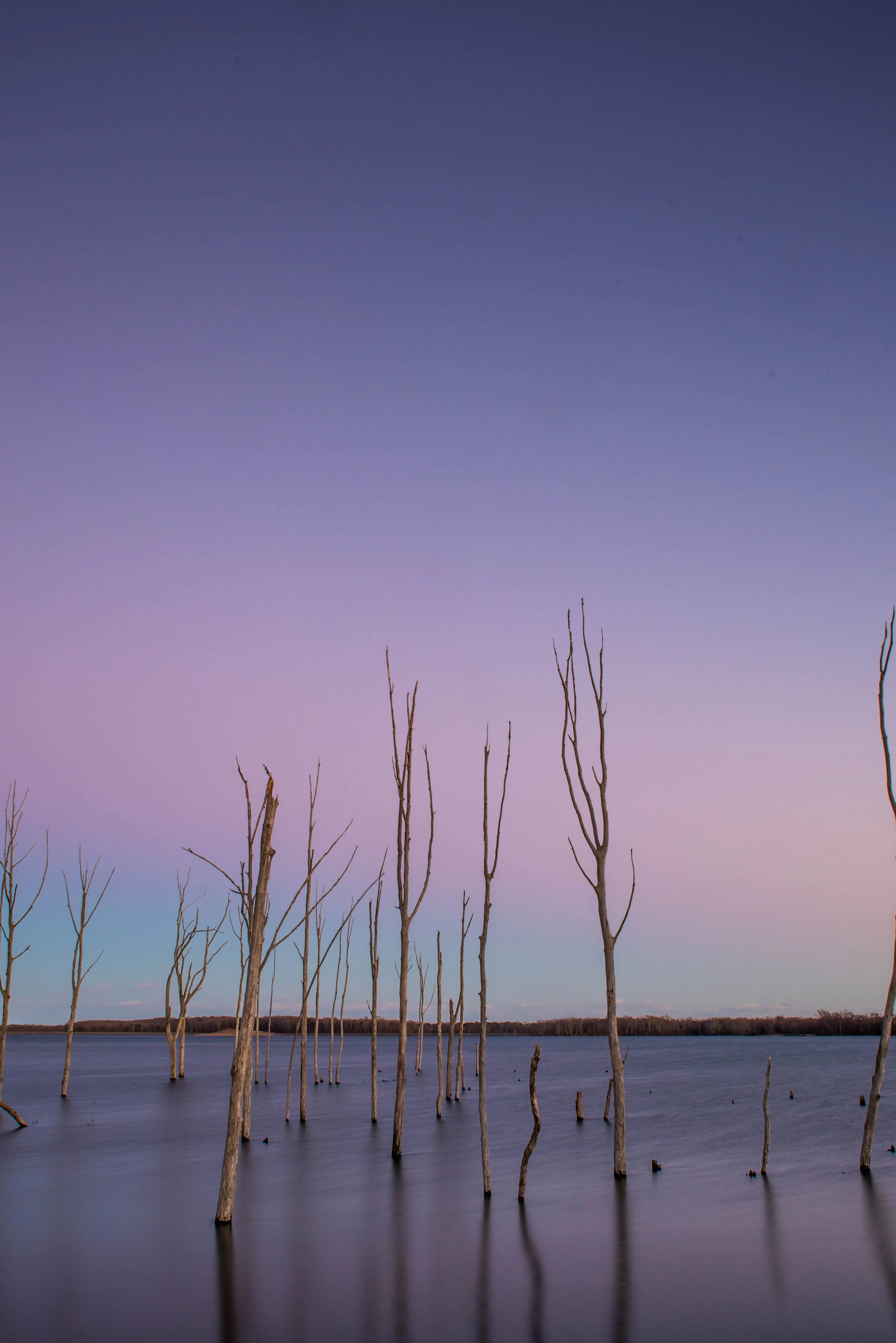 DSC_3938-Edit.jpg