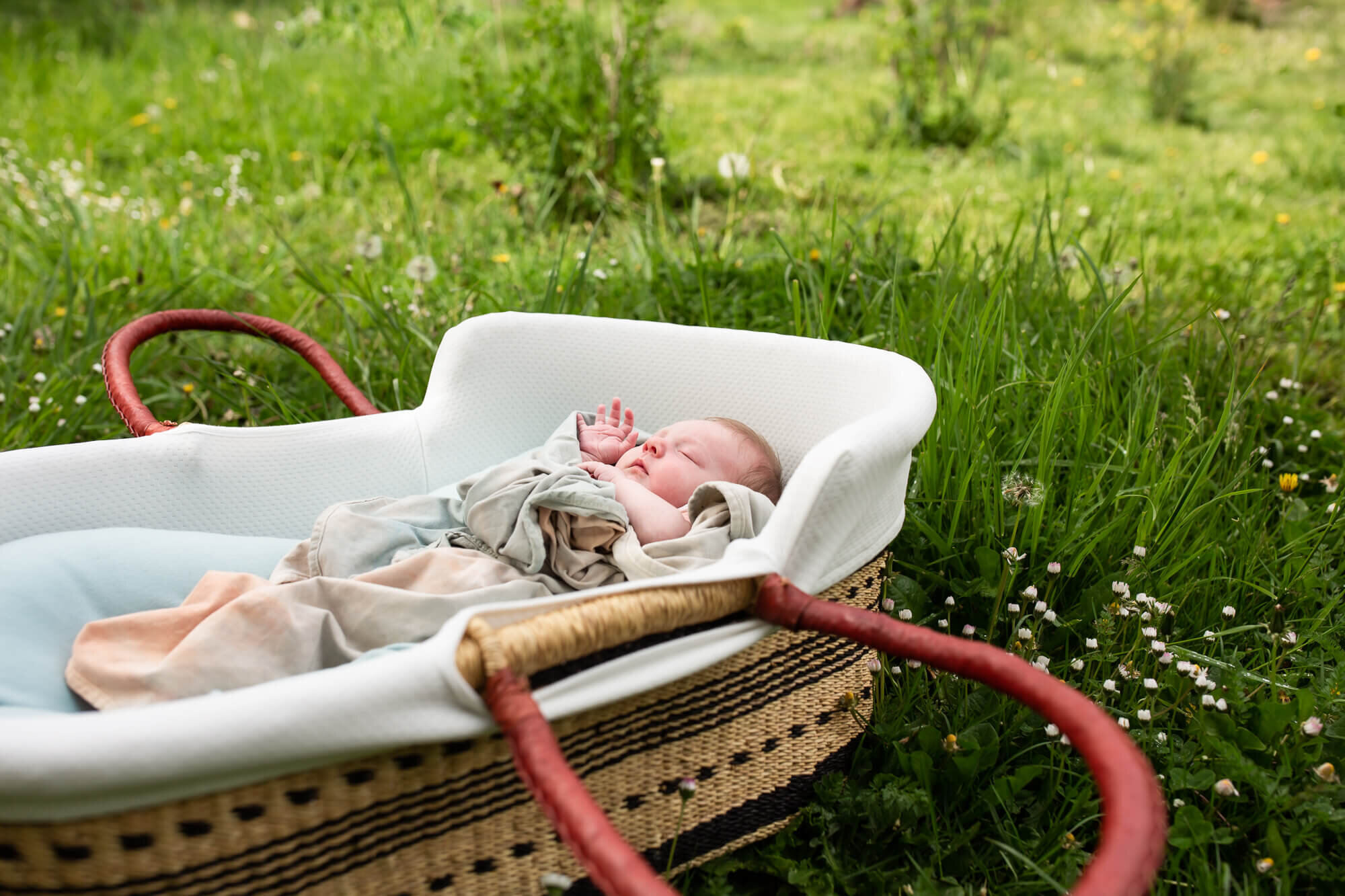 newborn photographer springfield