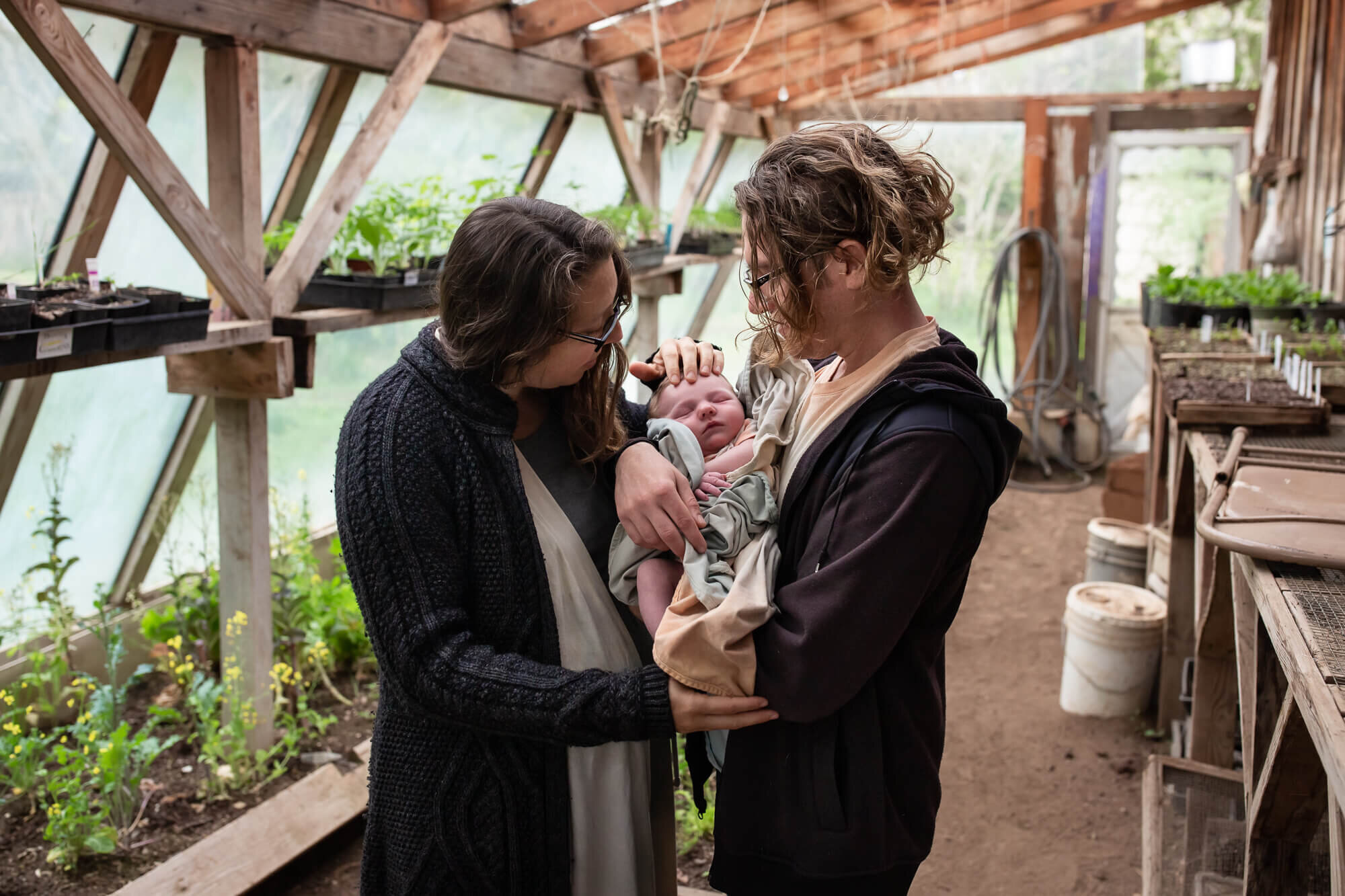 newborn photographer albany