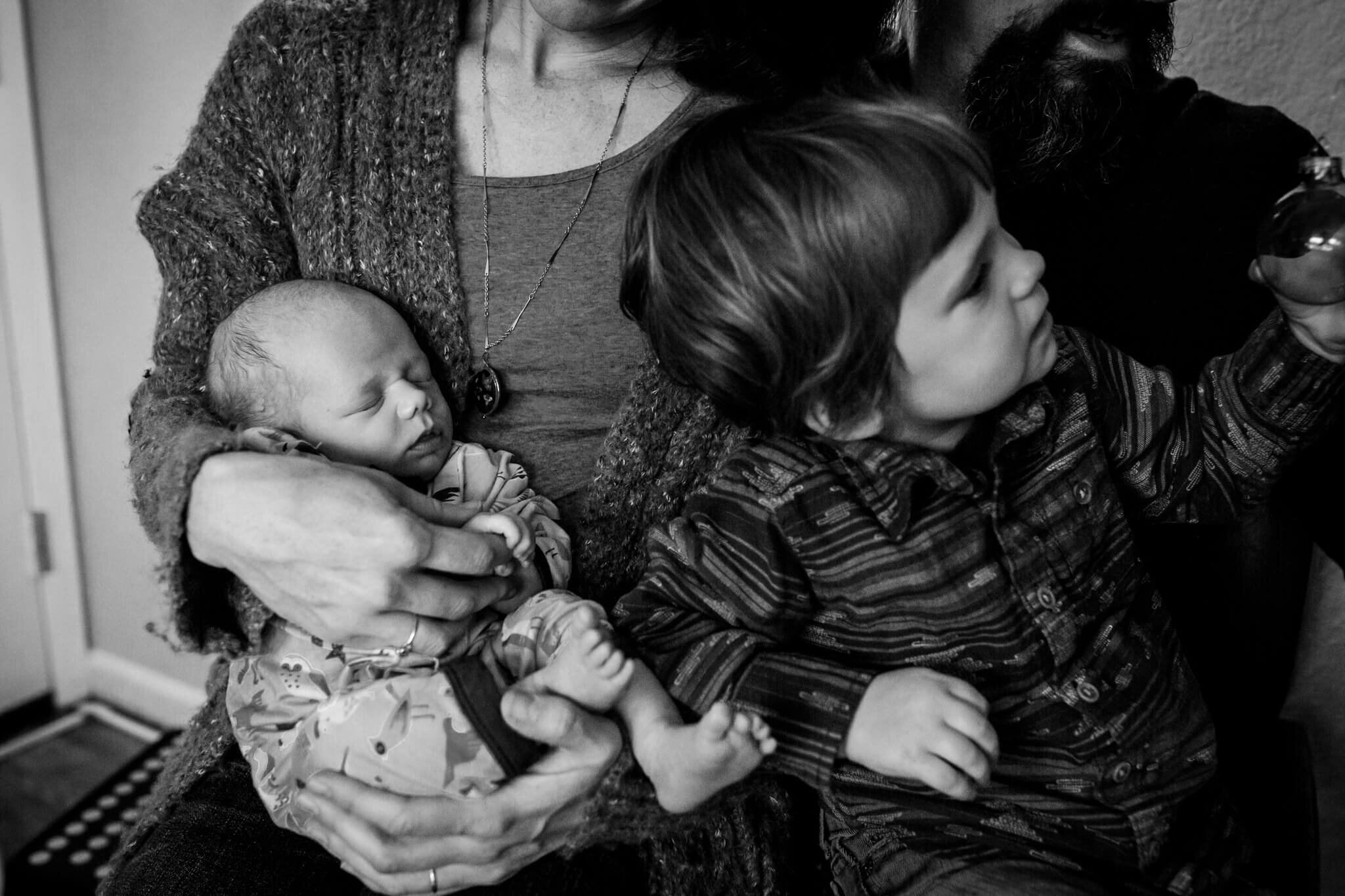 family photography eugene
