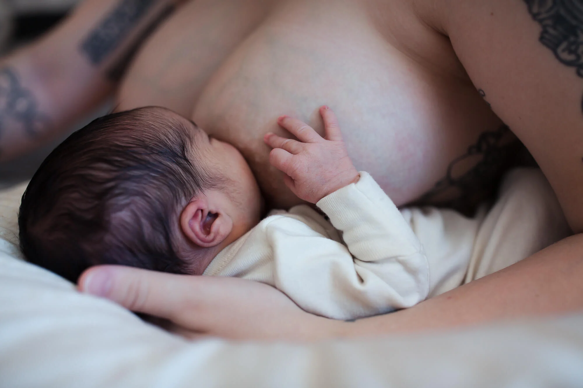 eugene newborn photos