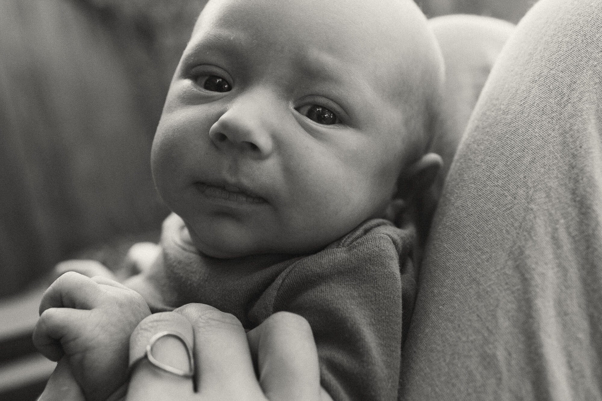 newborn photos eugene