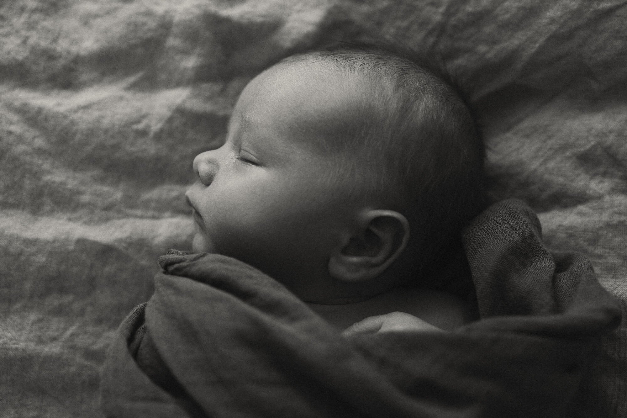 newborn photos eugene oregon