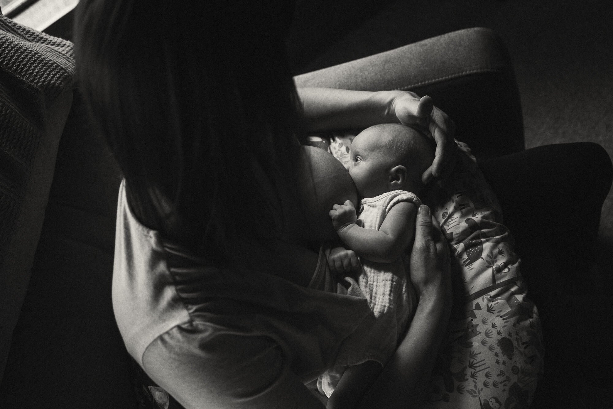 newborn photoshoot eugene