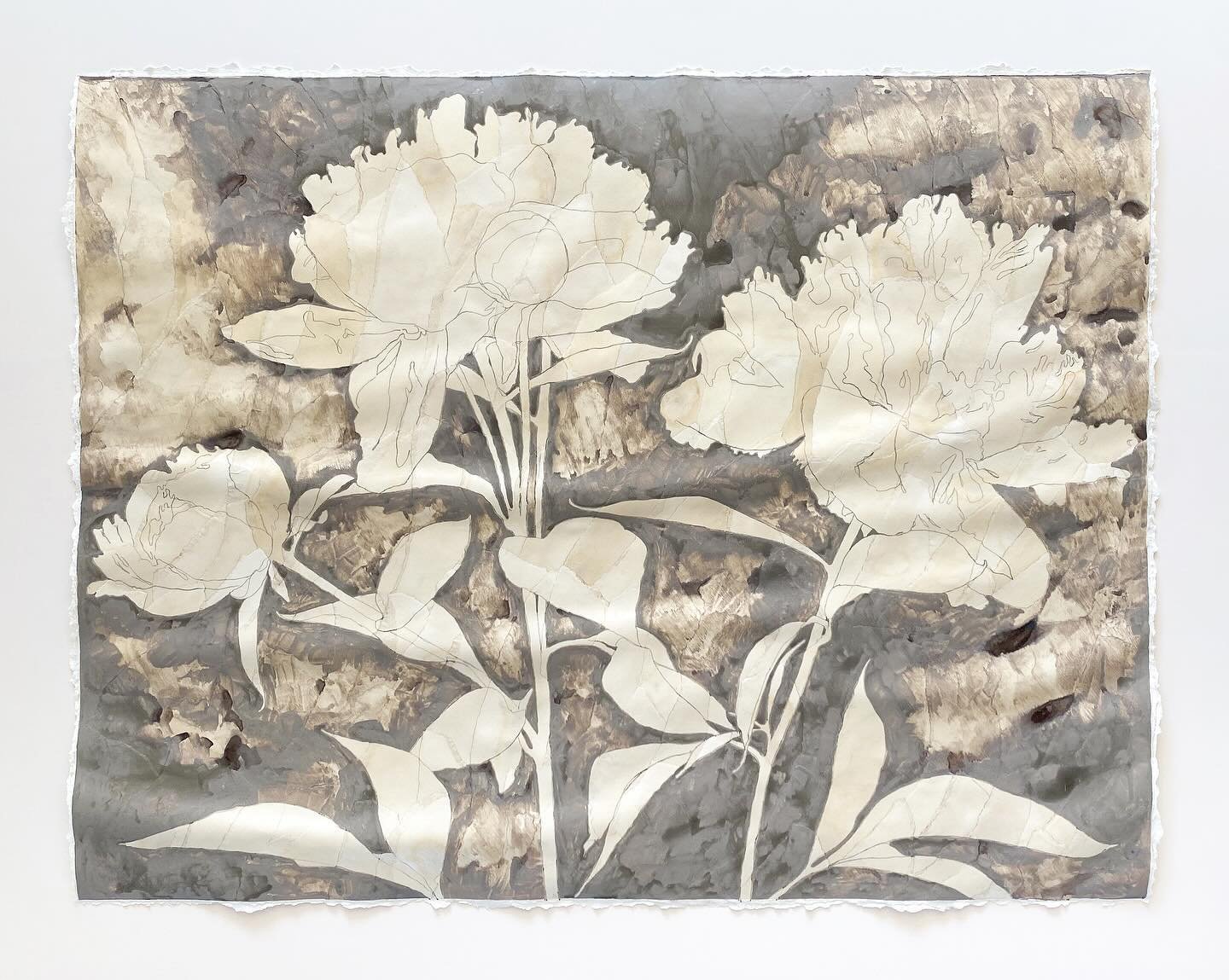 Peony Clay Wash
49&rdquo;H x 63&rdquo;W