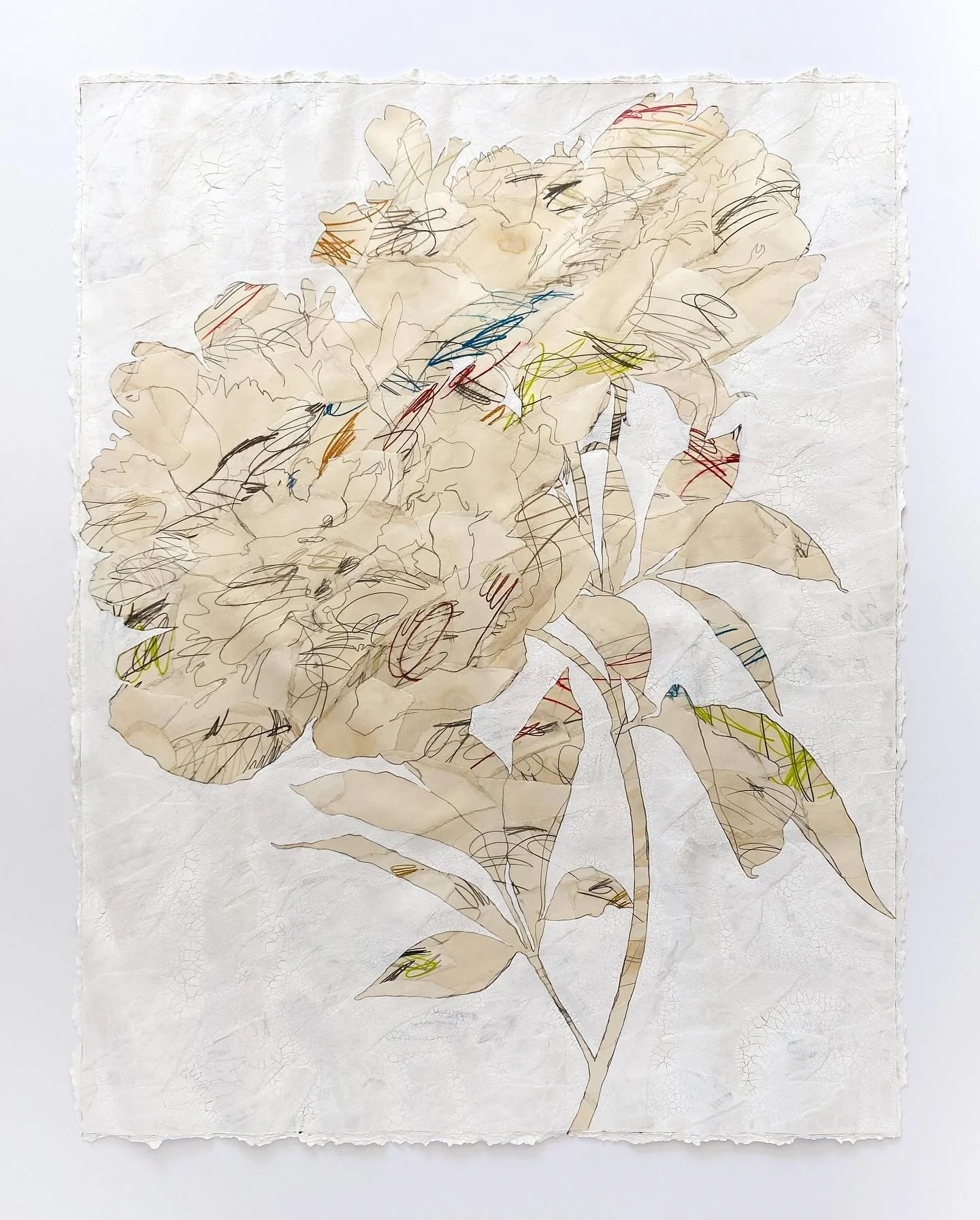 Peony August 2
63&rdquo;H x 49&rdquo;W