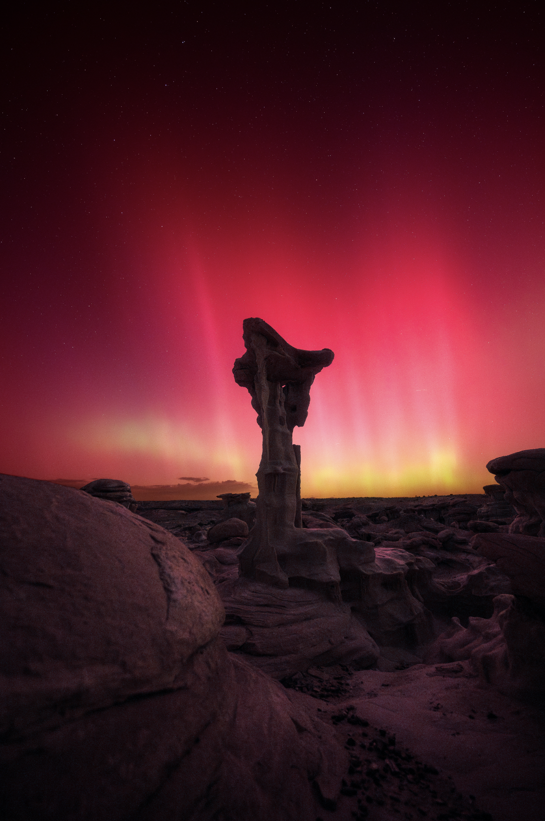 Screenshot 2024-09-19 at 2.41.04 PM.png