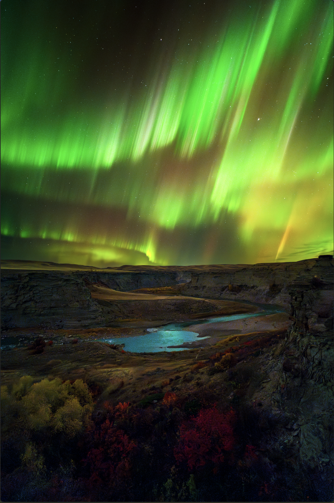 Screenshot 2024-10-15 at 10.04.37 AM.png