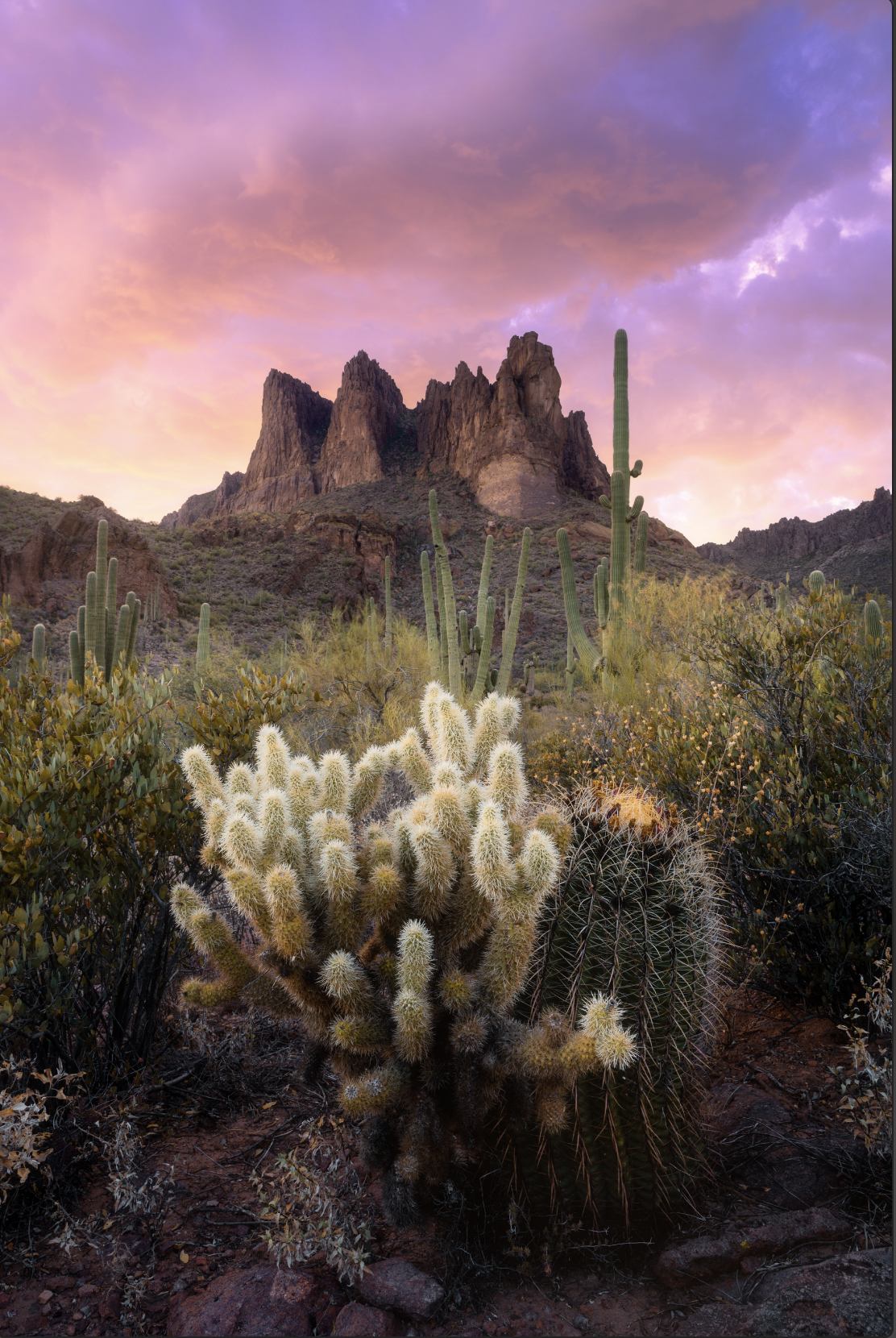 Screenshot 2026-01-29 at 12.27.12 PM.png