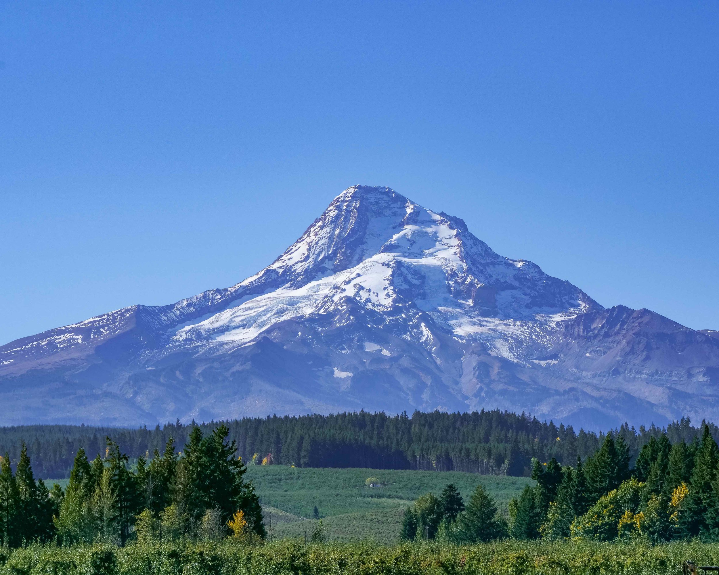 Mt Hood and Hood River Orchards