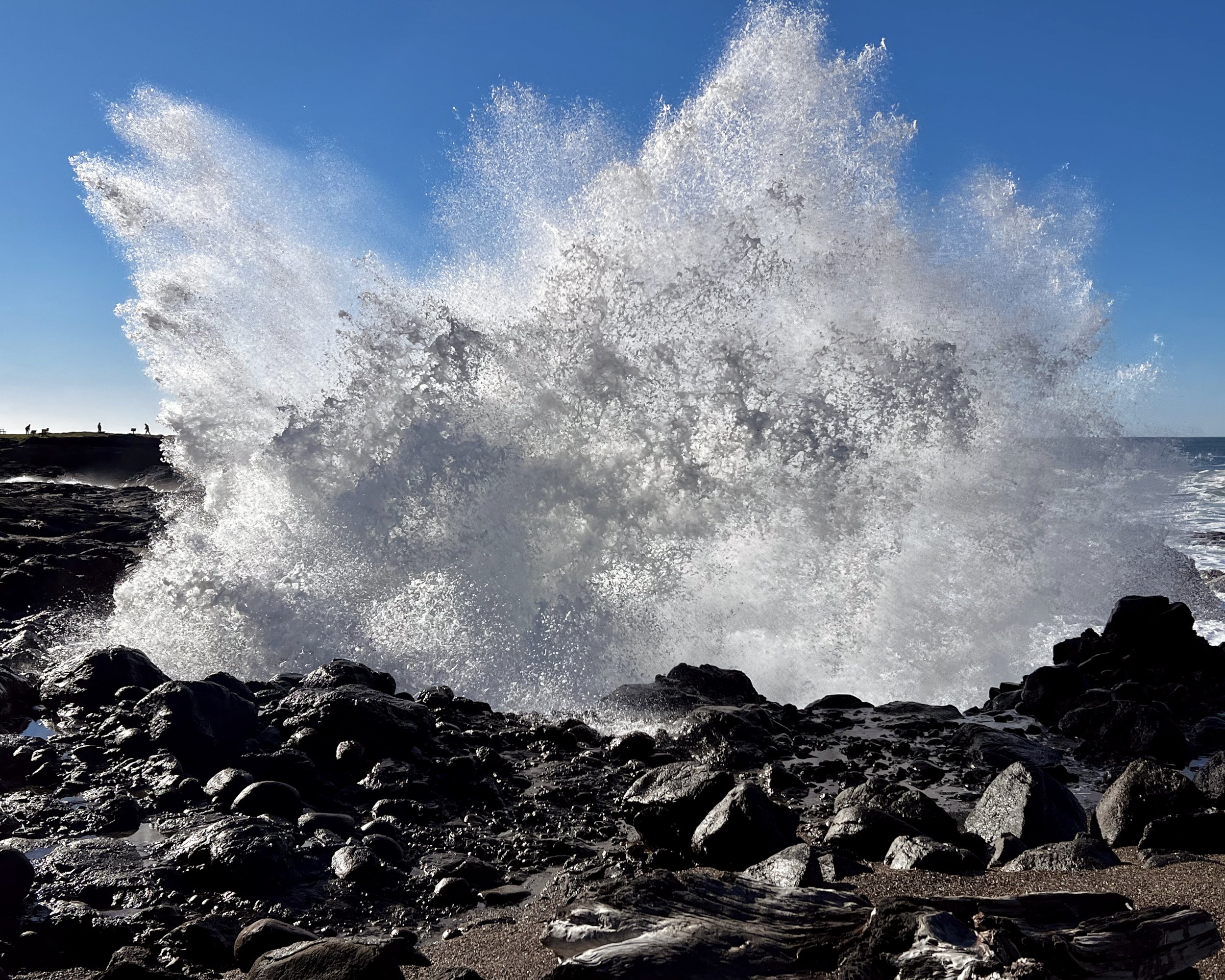 In Your Face Crashing Wave