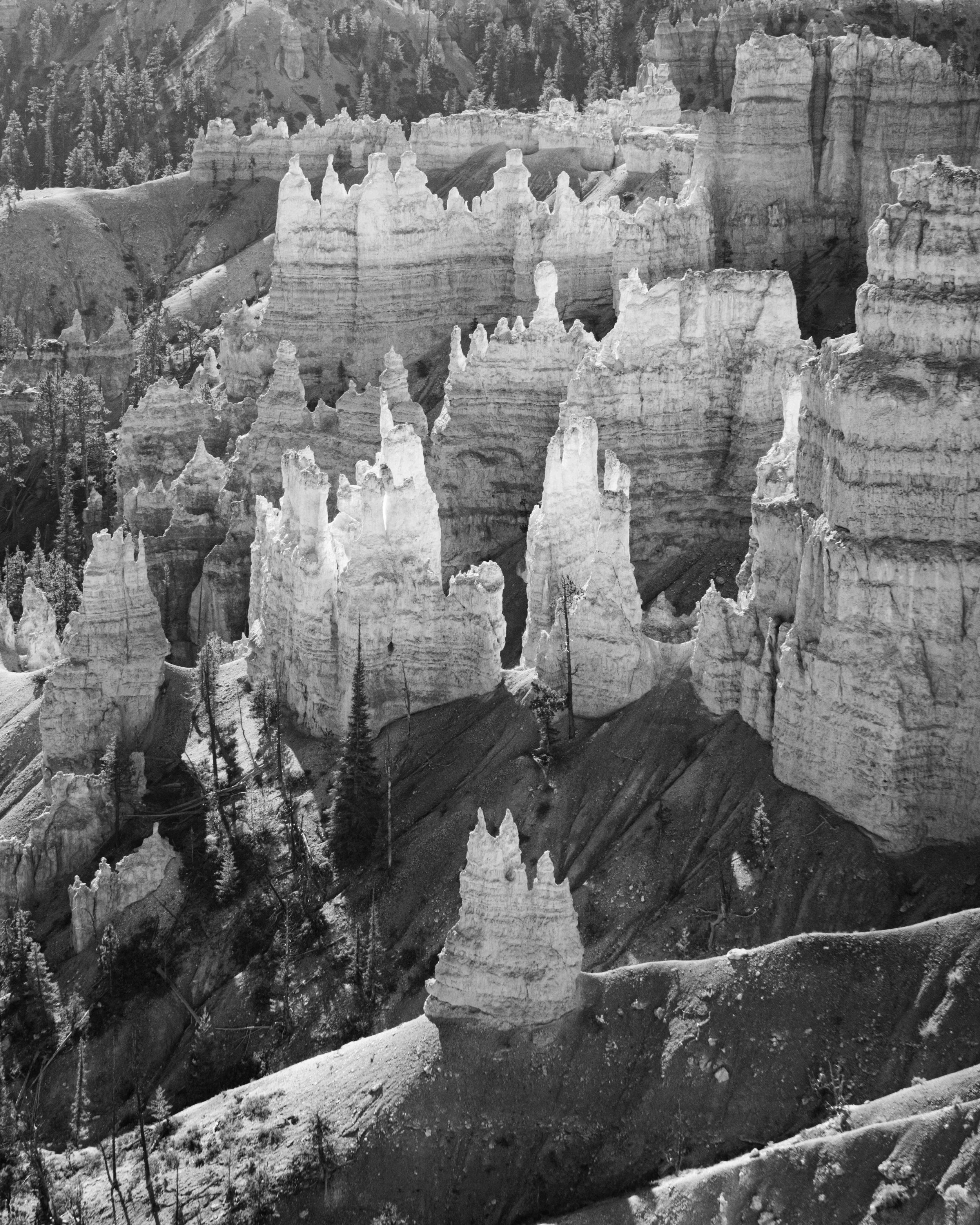 Bryce Canyon Hoodoos B&W