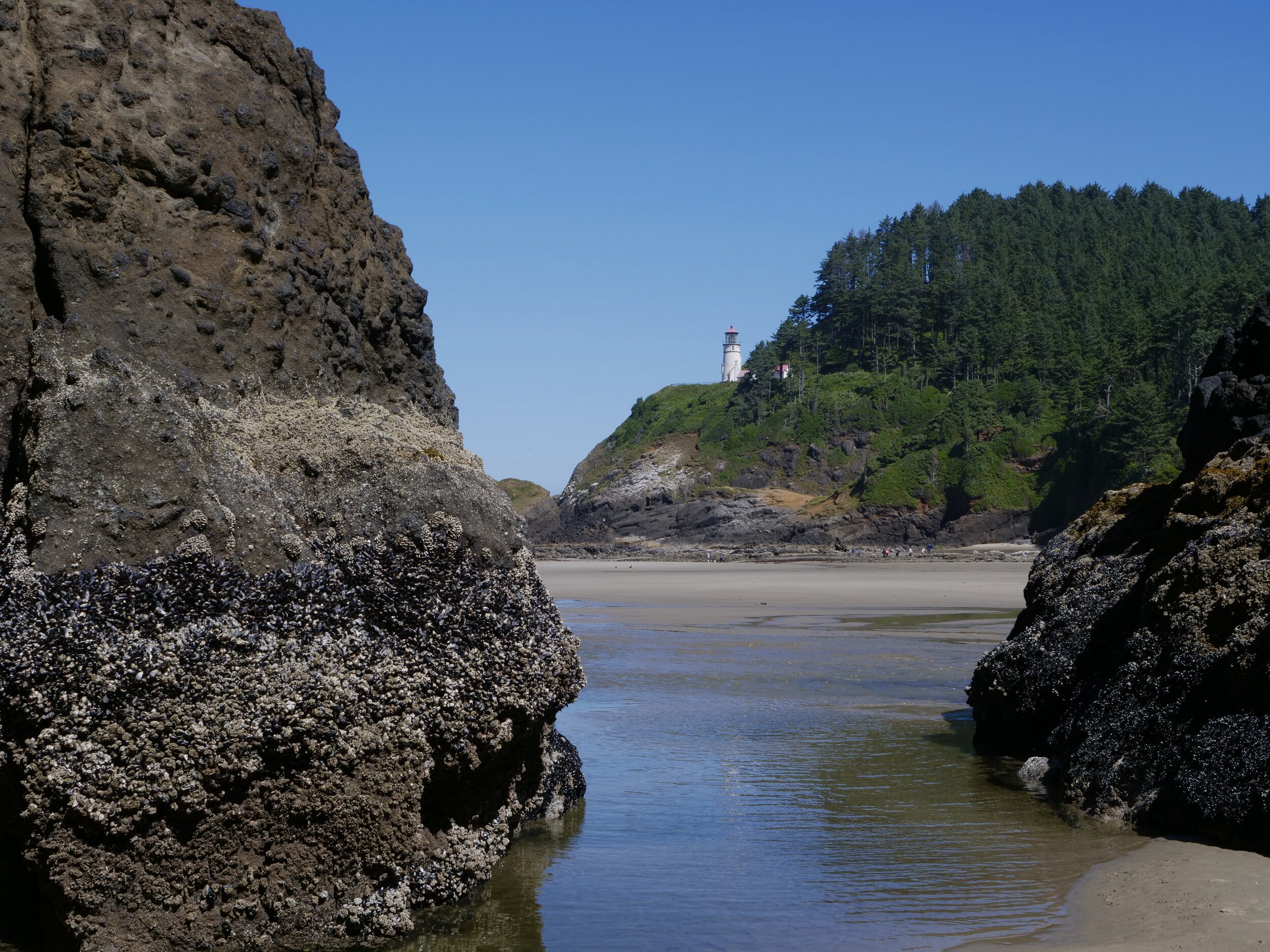Heceta Head Light House, Oregon Coast