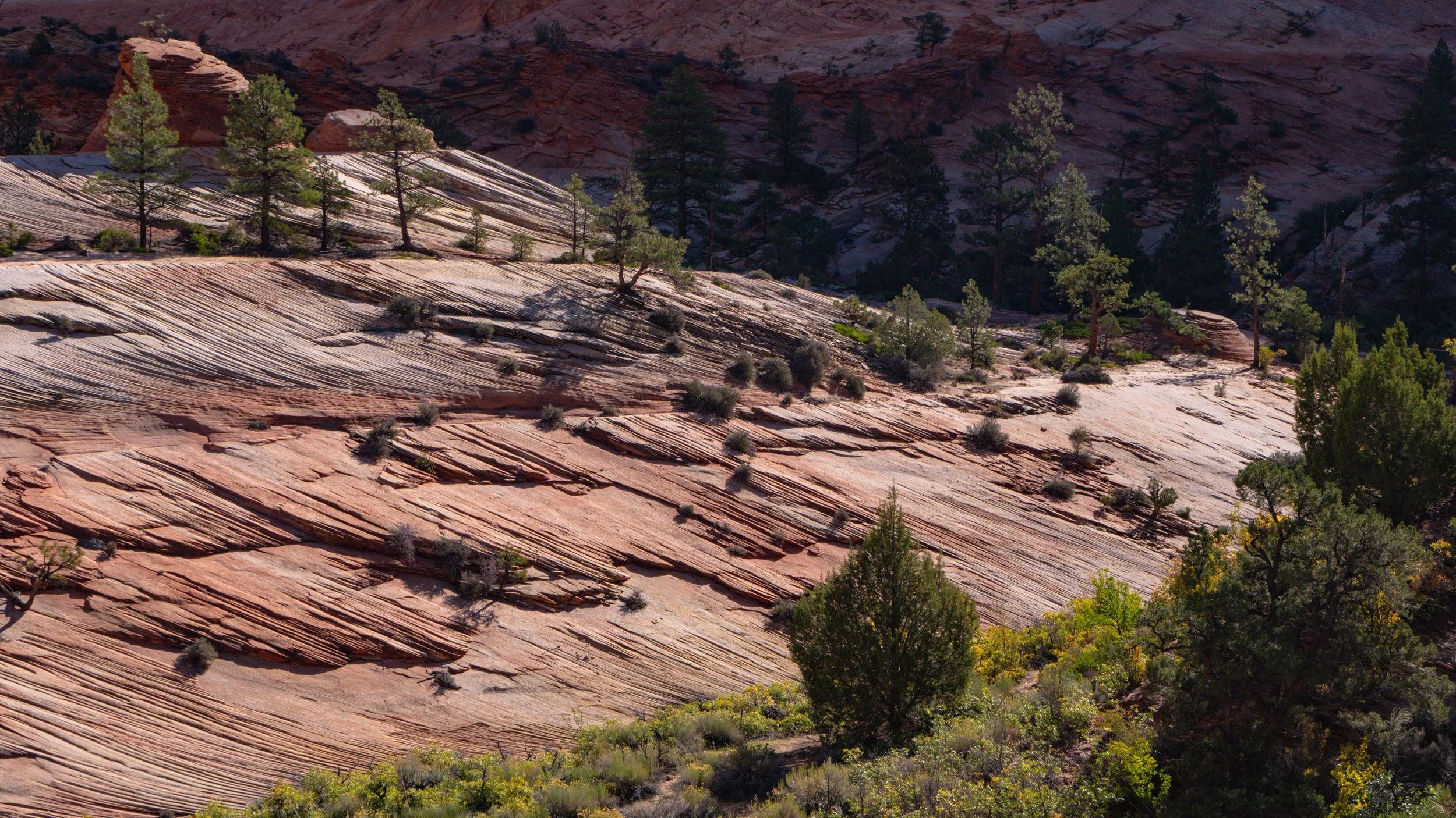 Navajo Sandstone Cliffs Zion National Park 16X9 