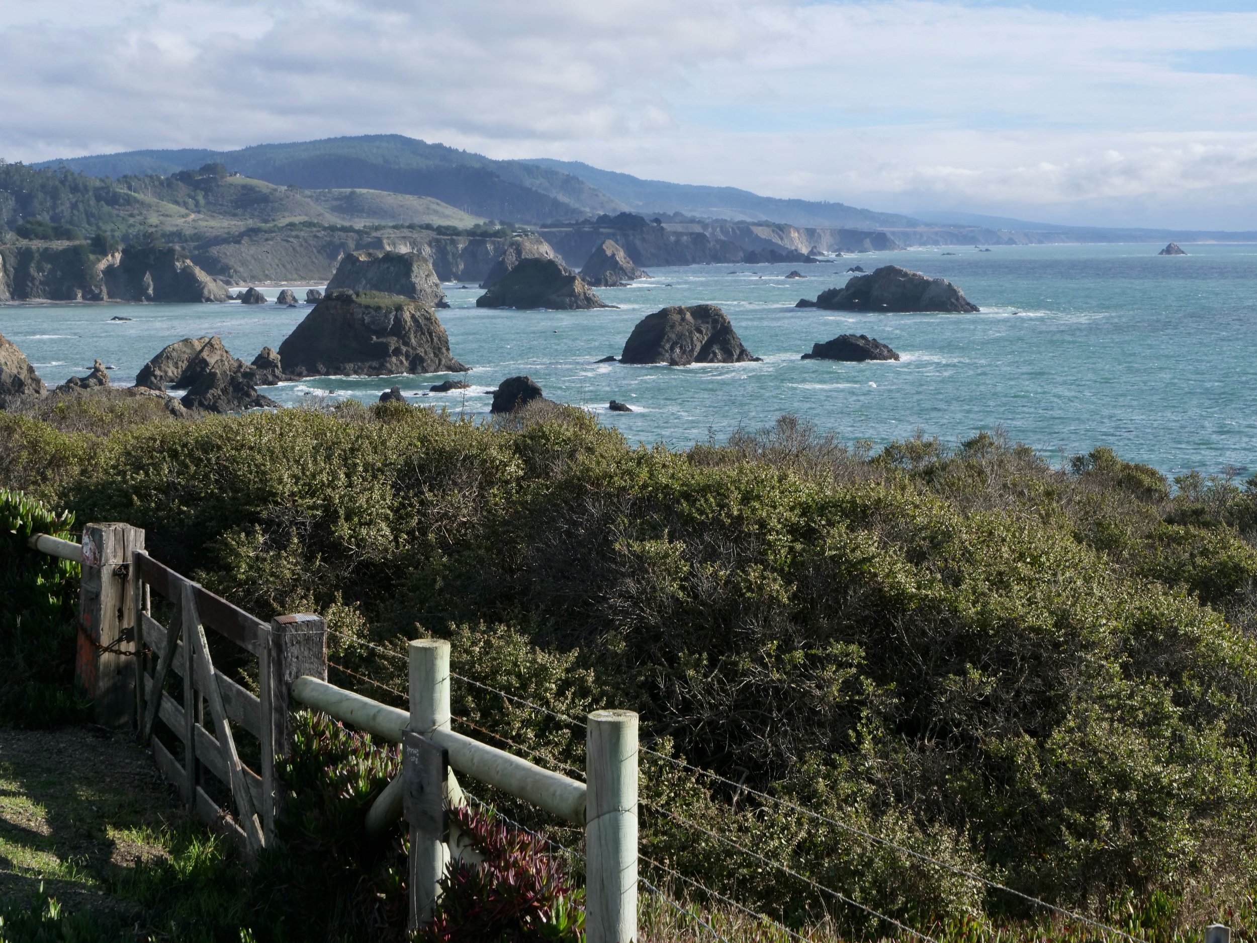 Rocky Northern California Shoreline